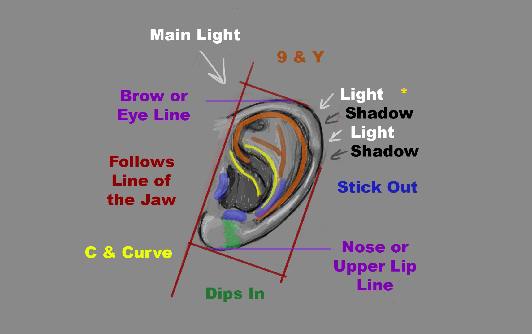 15-10-27- Digital - Copy [Morguefile] - Ear Study [Final Published Version] 2.jpg