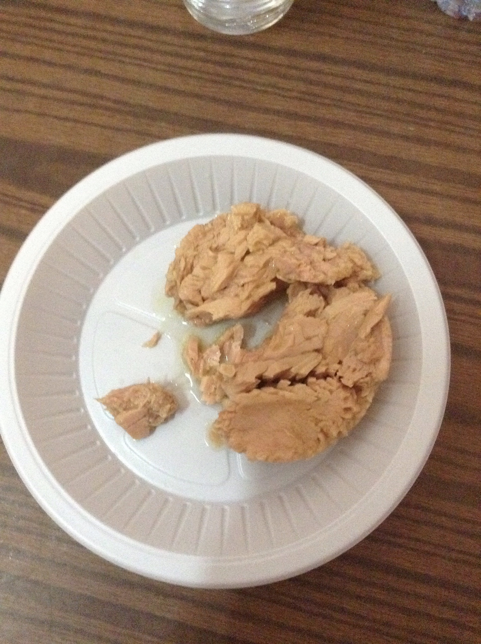 16, 11:45 PM.jpg