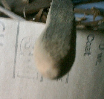 18 Rough sanded head.JPG