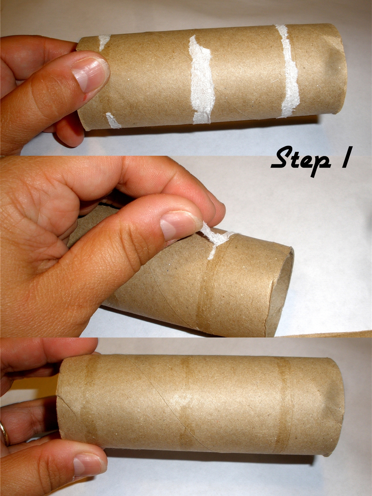 1Clean TP Roll - Page 001.jpg