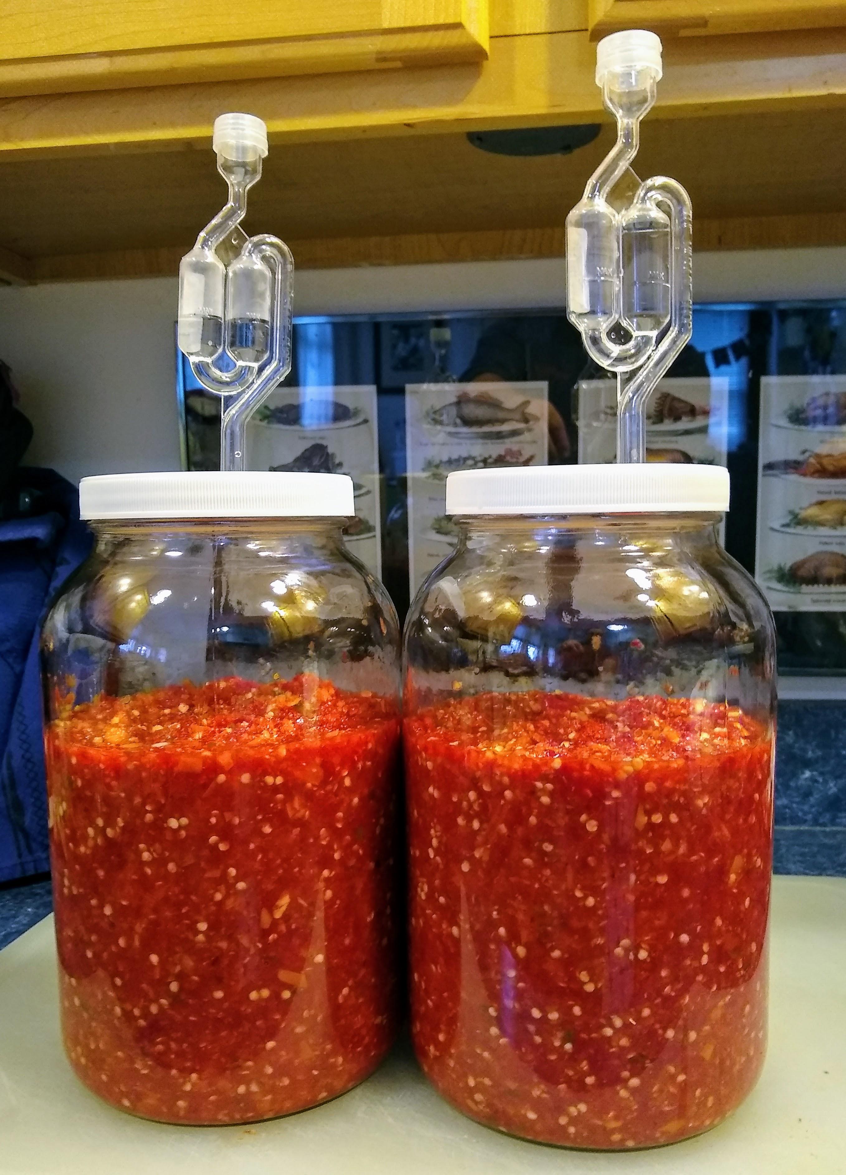 2 big jars with airlocks full.jpg