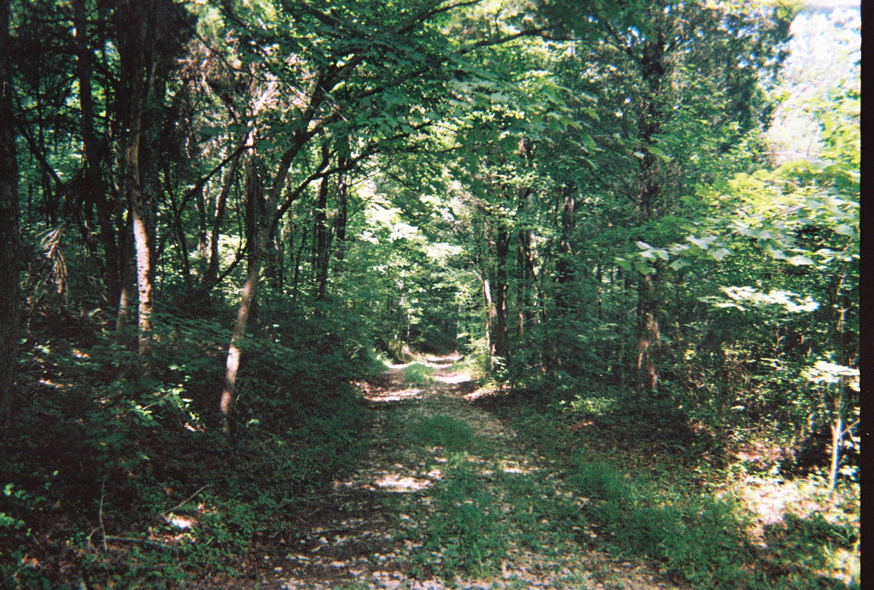 2-19-2009-15.jpg