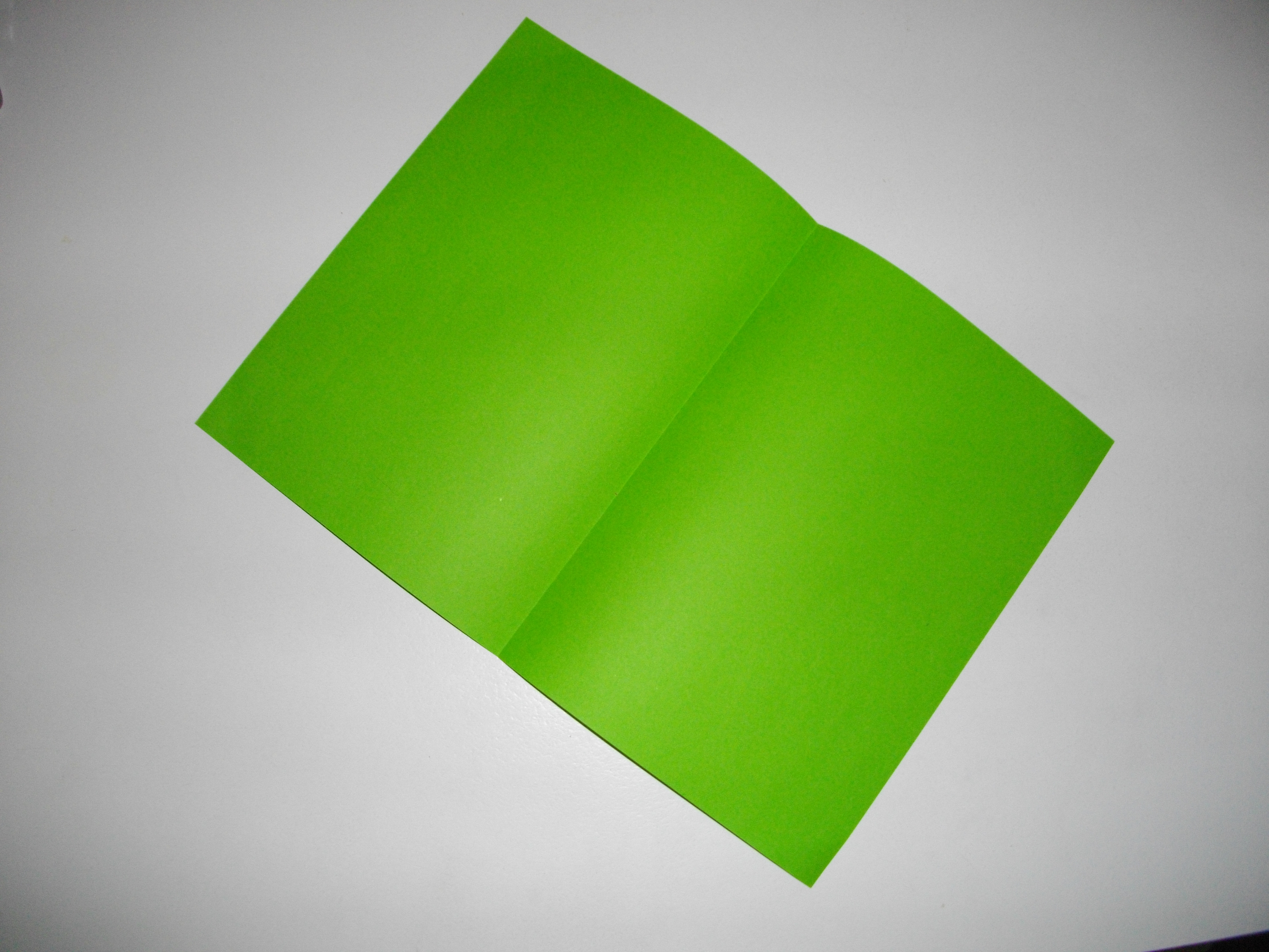 2.1 - Fold paper in half.JPG