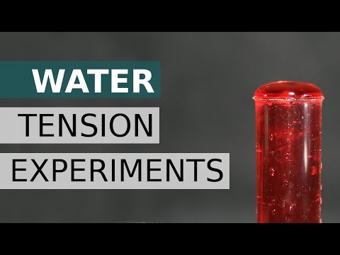 20 Exp&amp;eacute;riences avec la Tension superficielle tension de l&amp;rsquo;eau, tension de surface &amp;eacute;nergie de surface