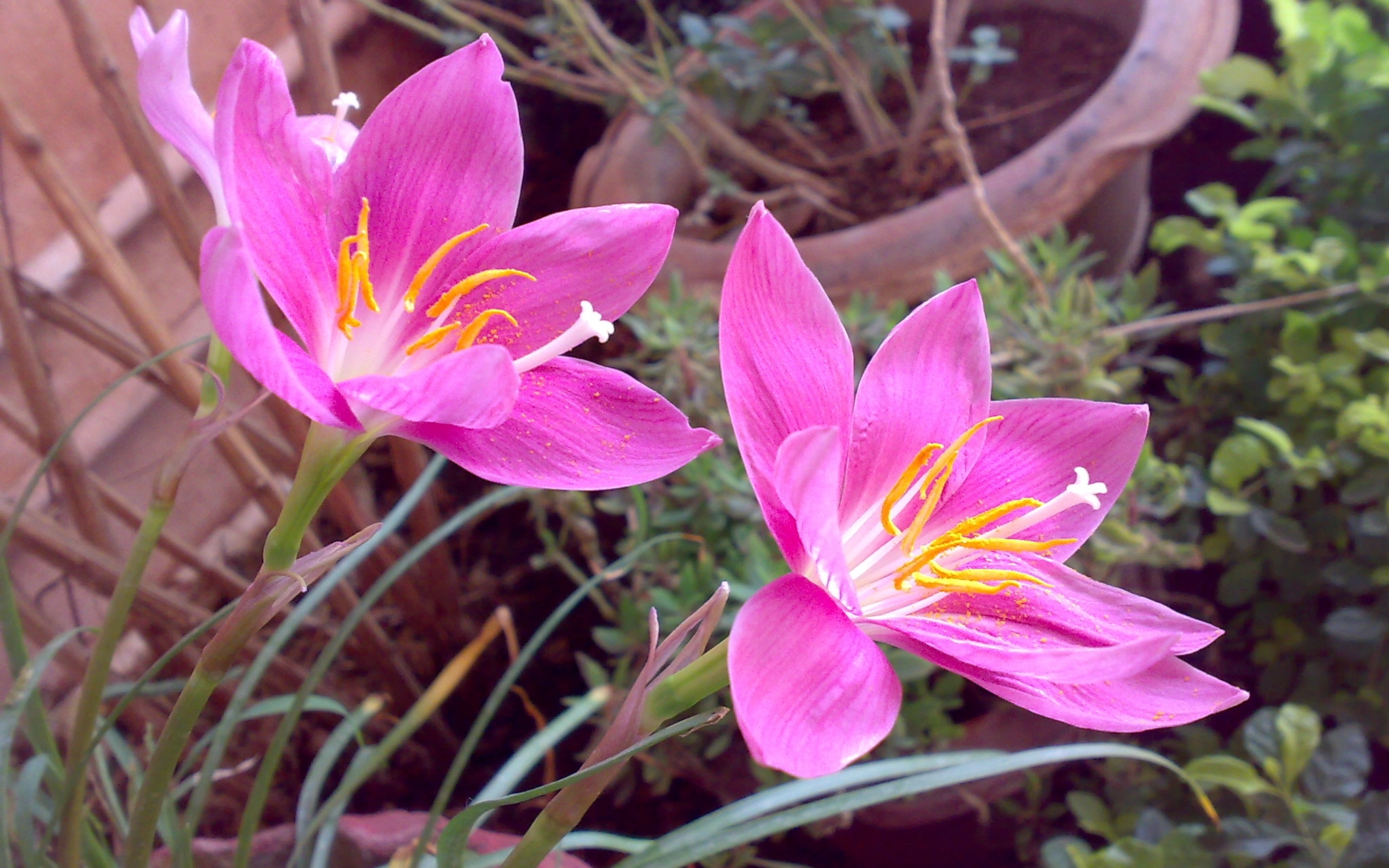200420084384.jpg