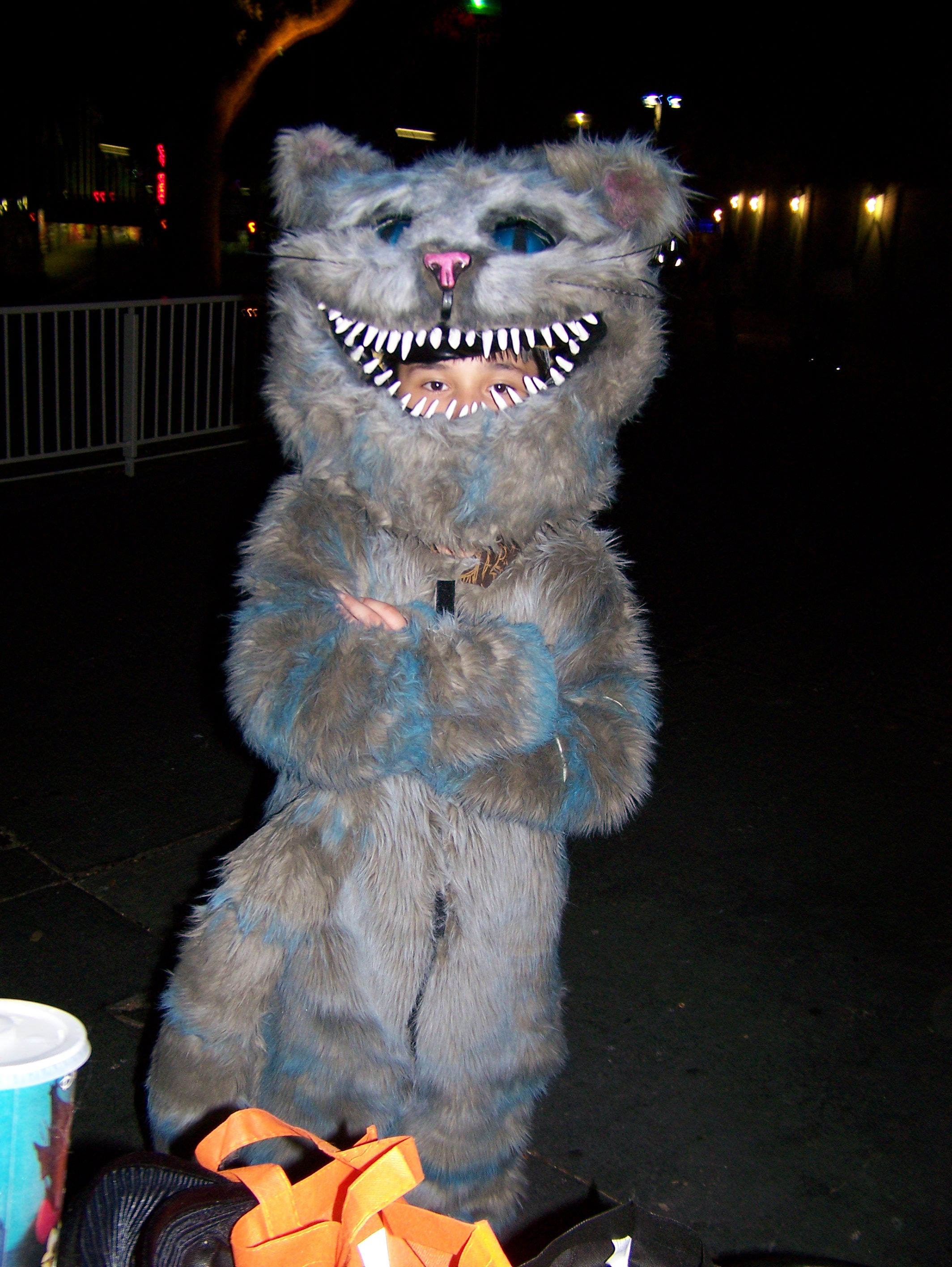 2010 Halloween 025.JPG