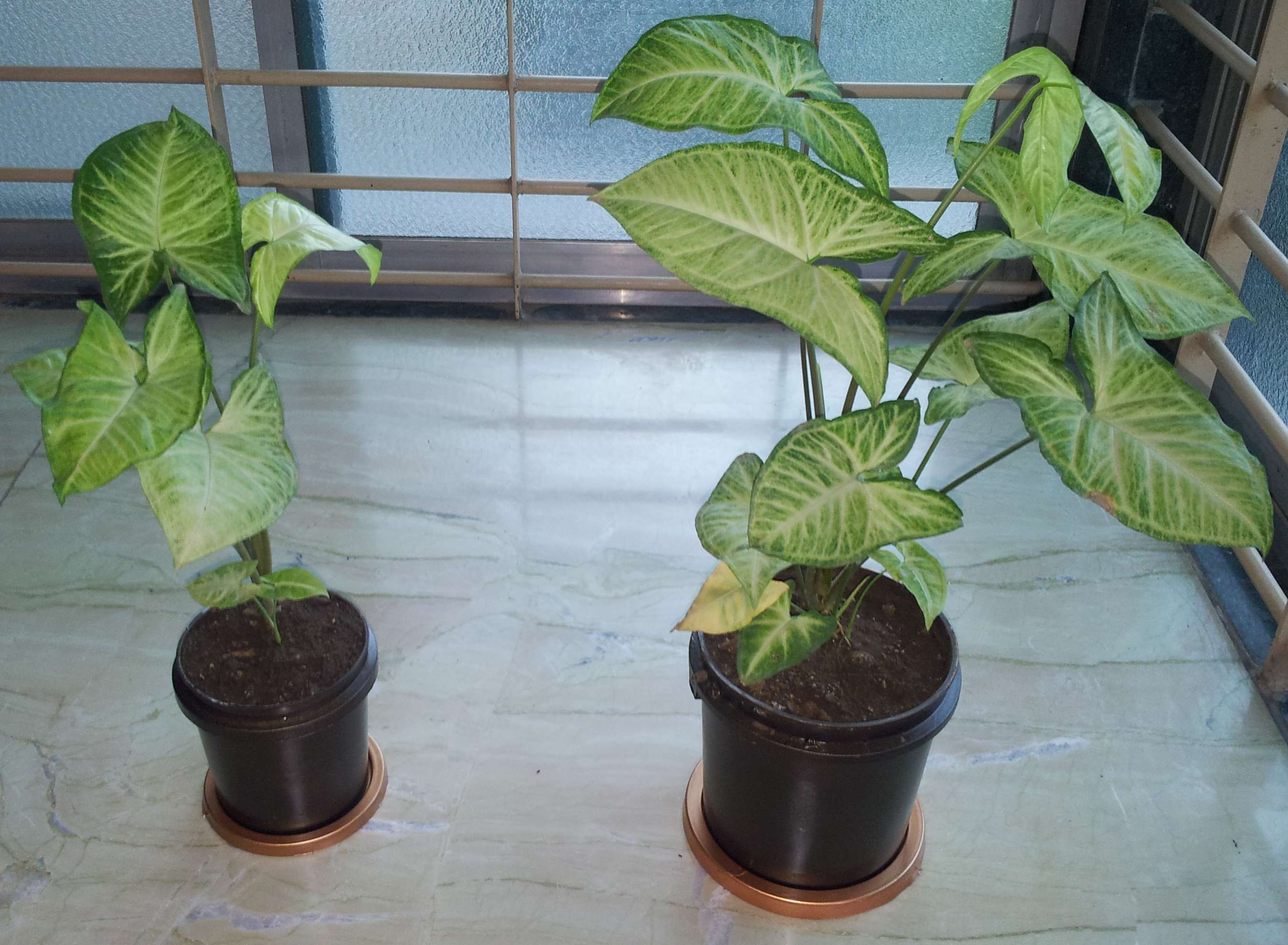 20121001_070228.jpg