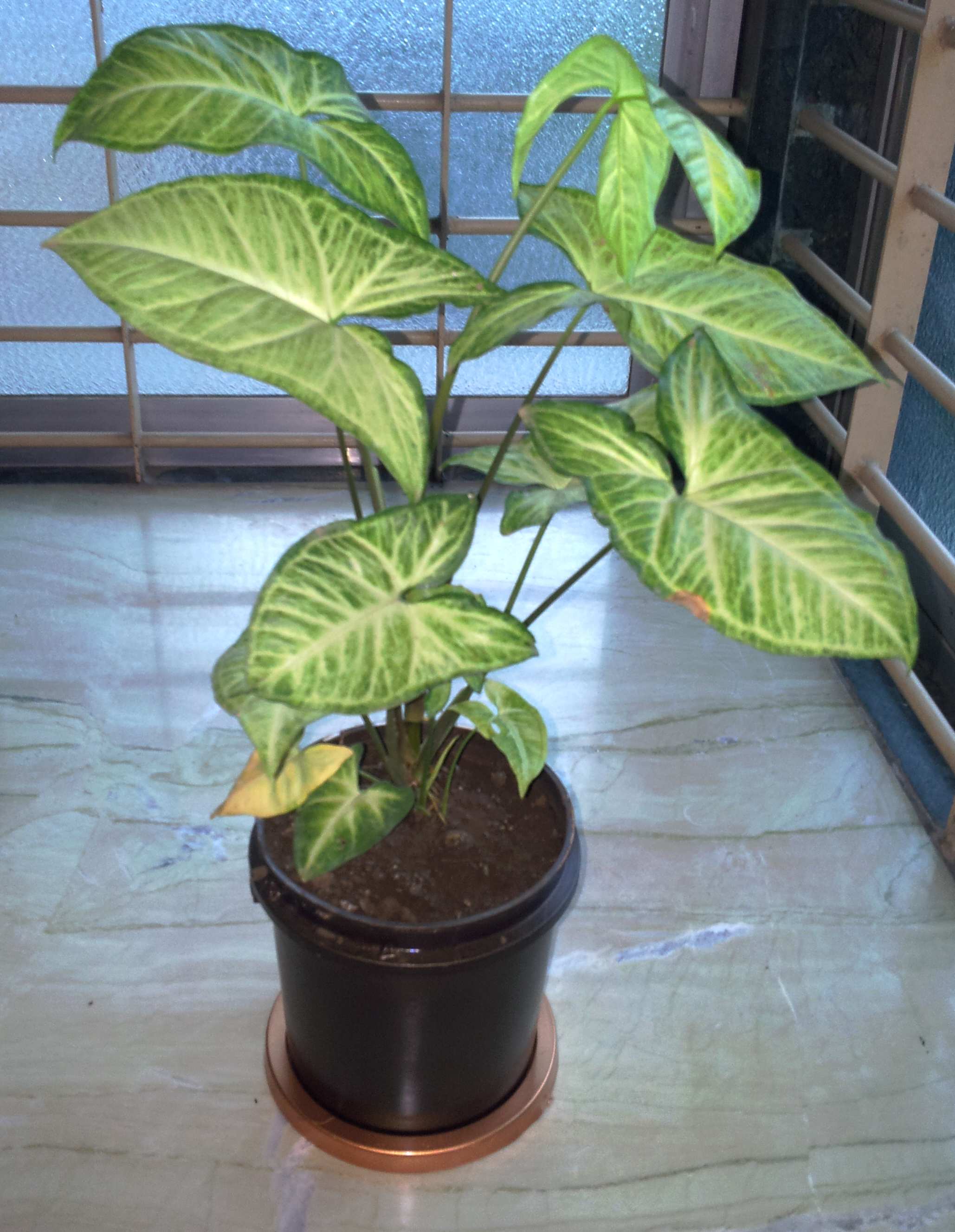 20121001_070246.jpg