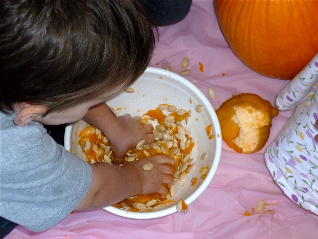 2013 pumpkins.jpg