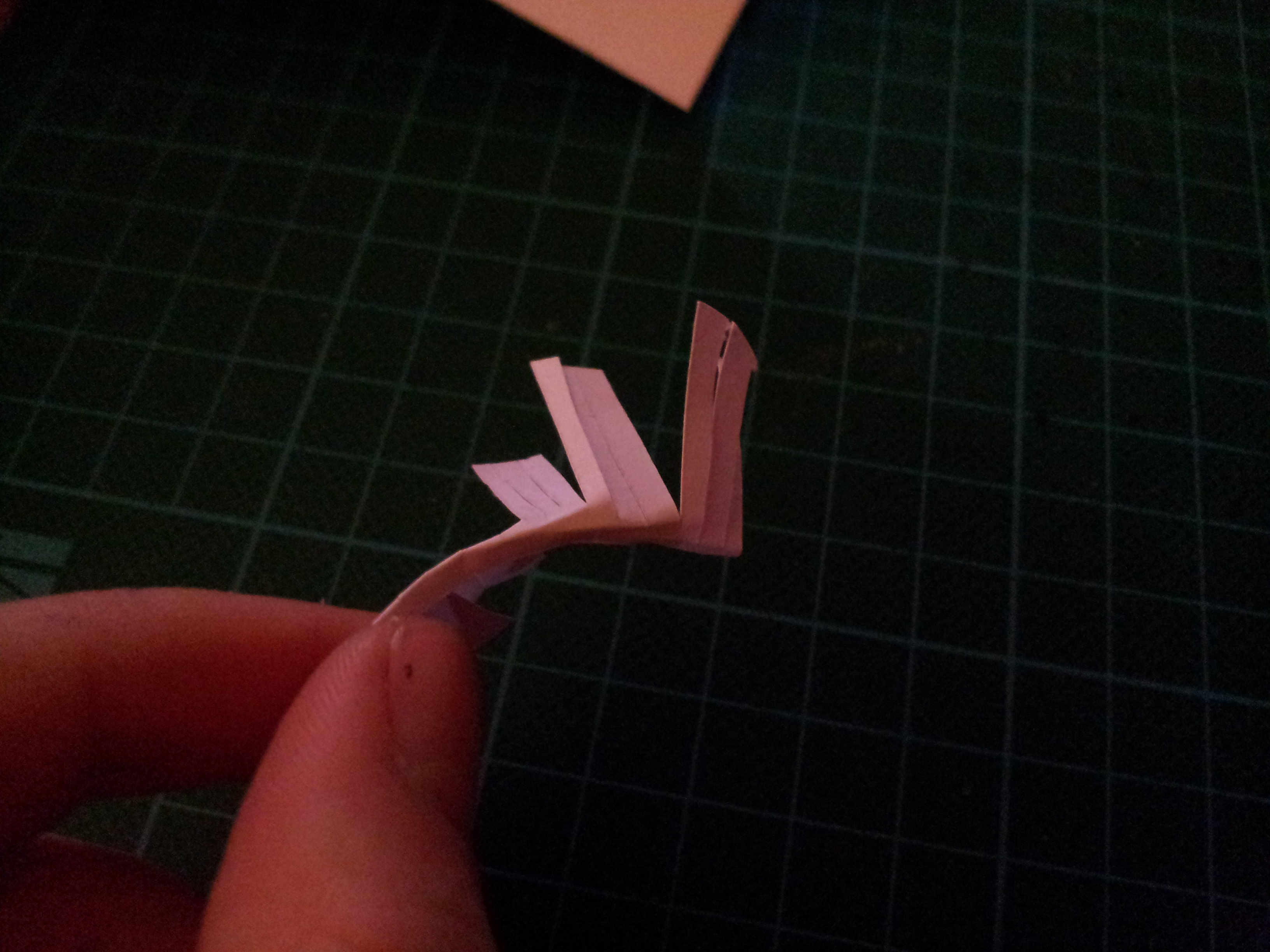 20131028_103546.jpg