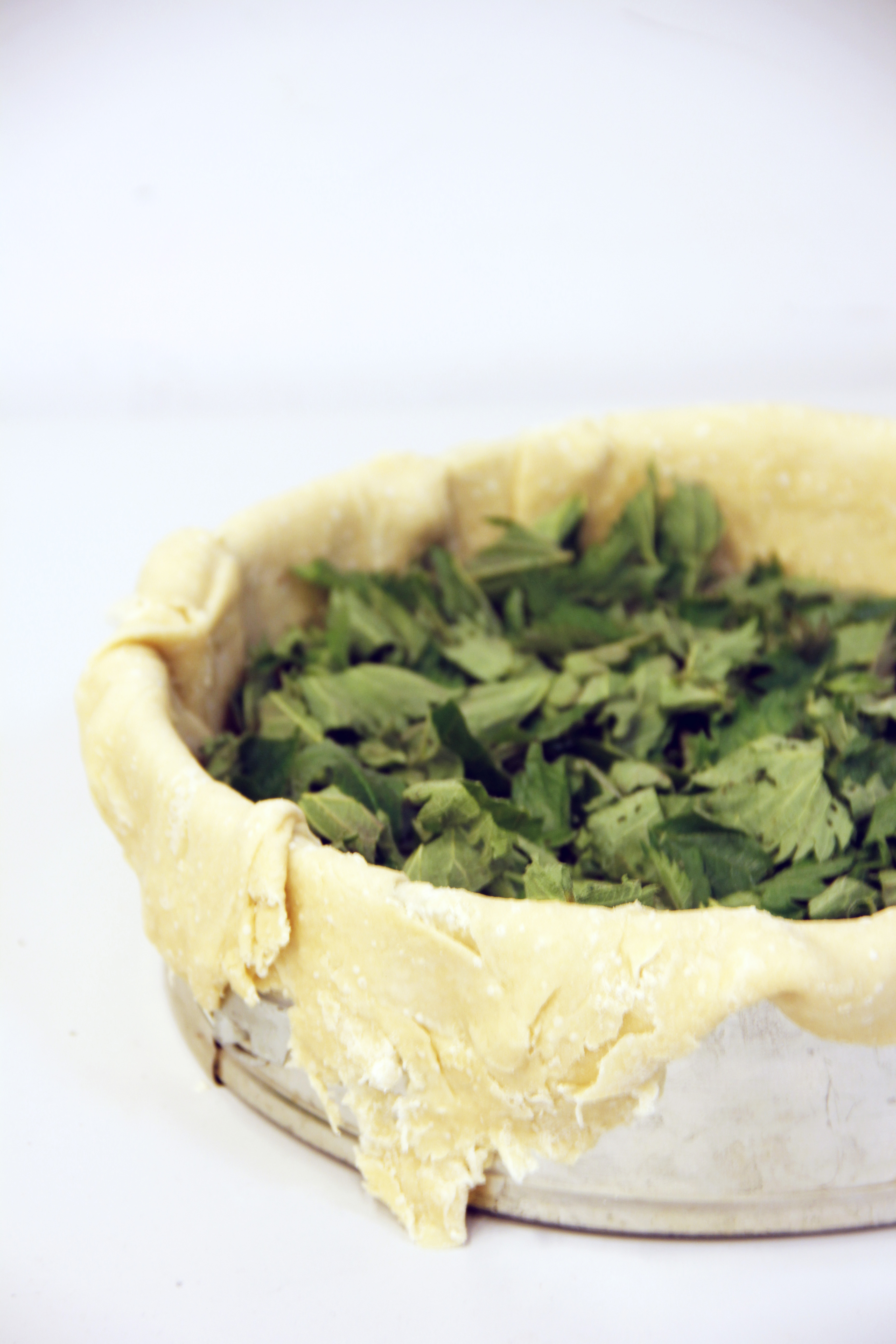 2014-05-11 Chapter 9 - Green Nettle Quiche (4).JPG