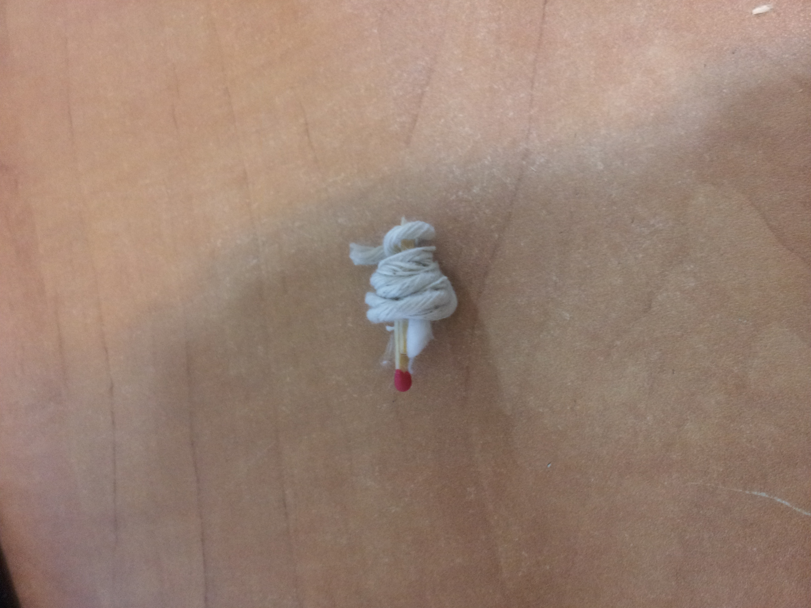20140406_151724.jpg