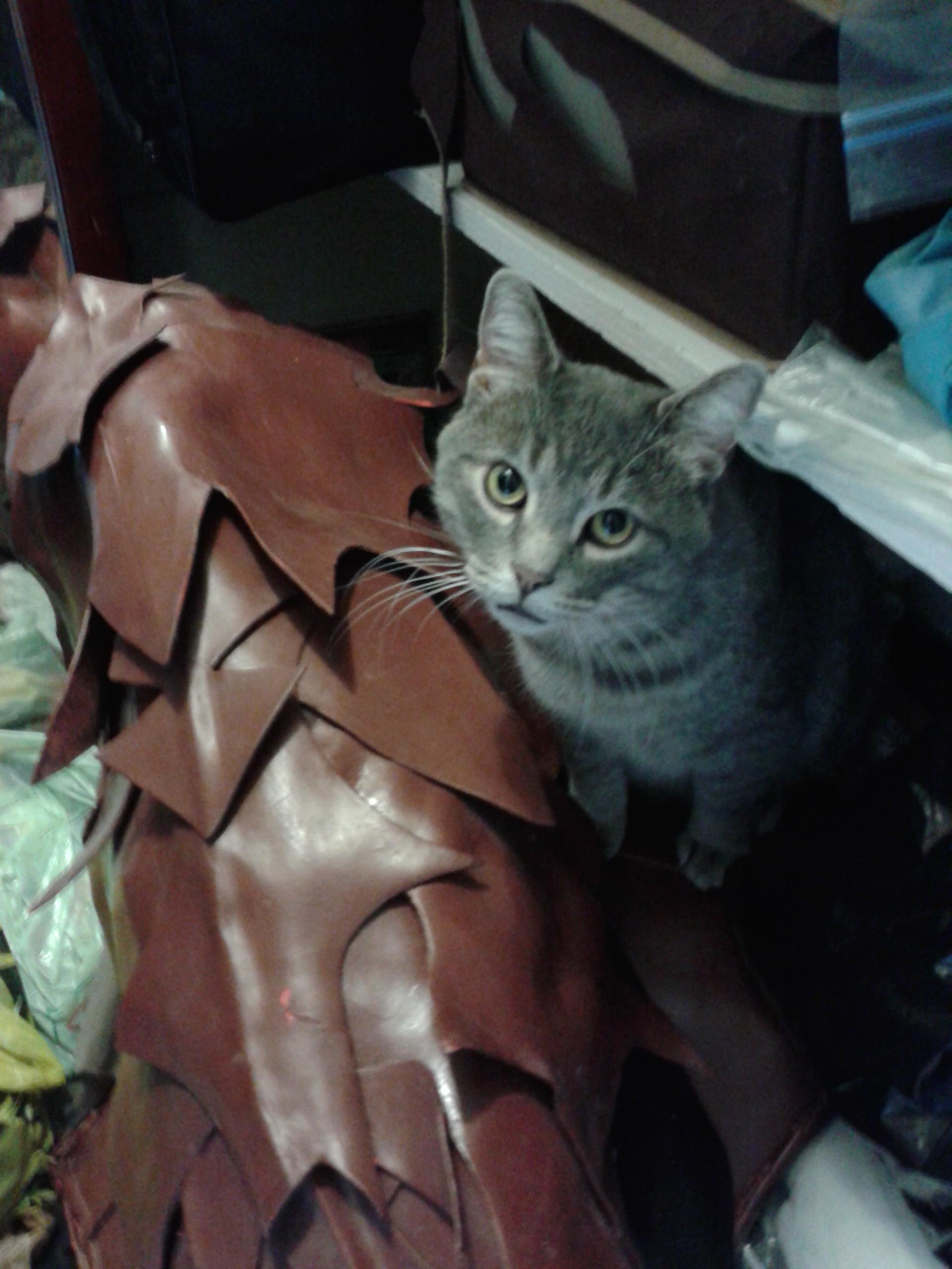20140918_103557.jpg