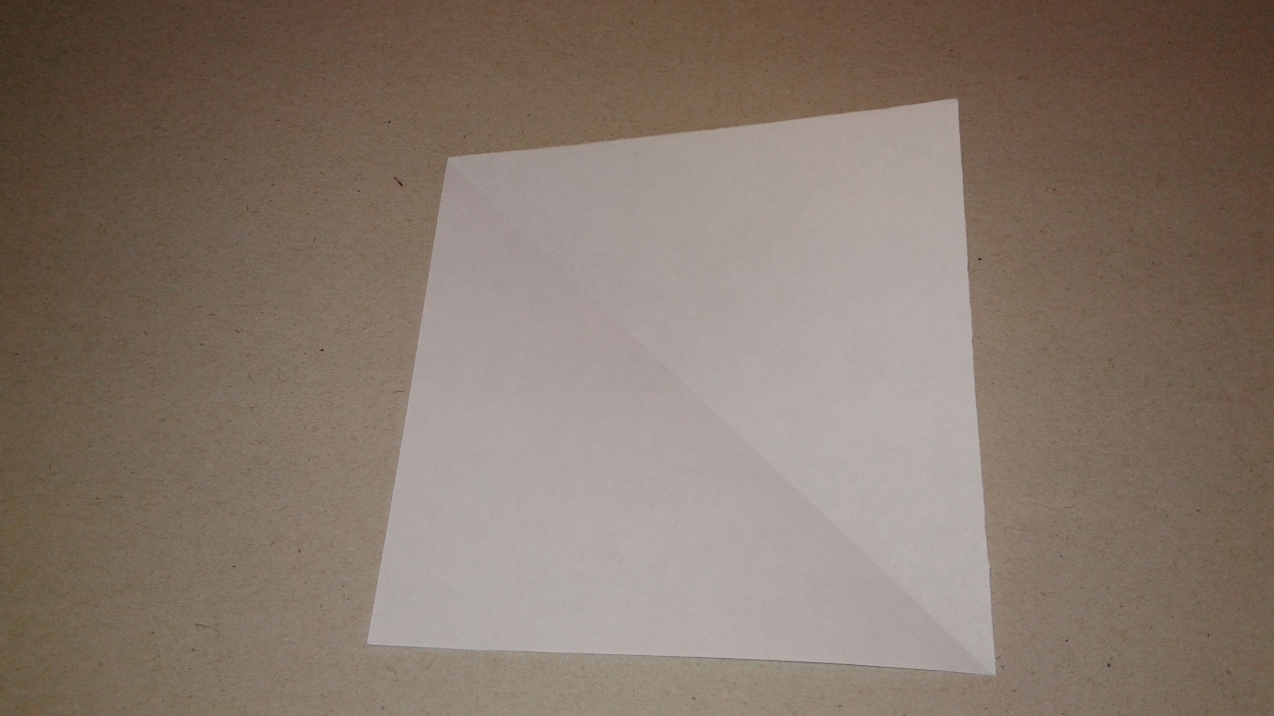 20141229_130710.jpg