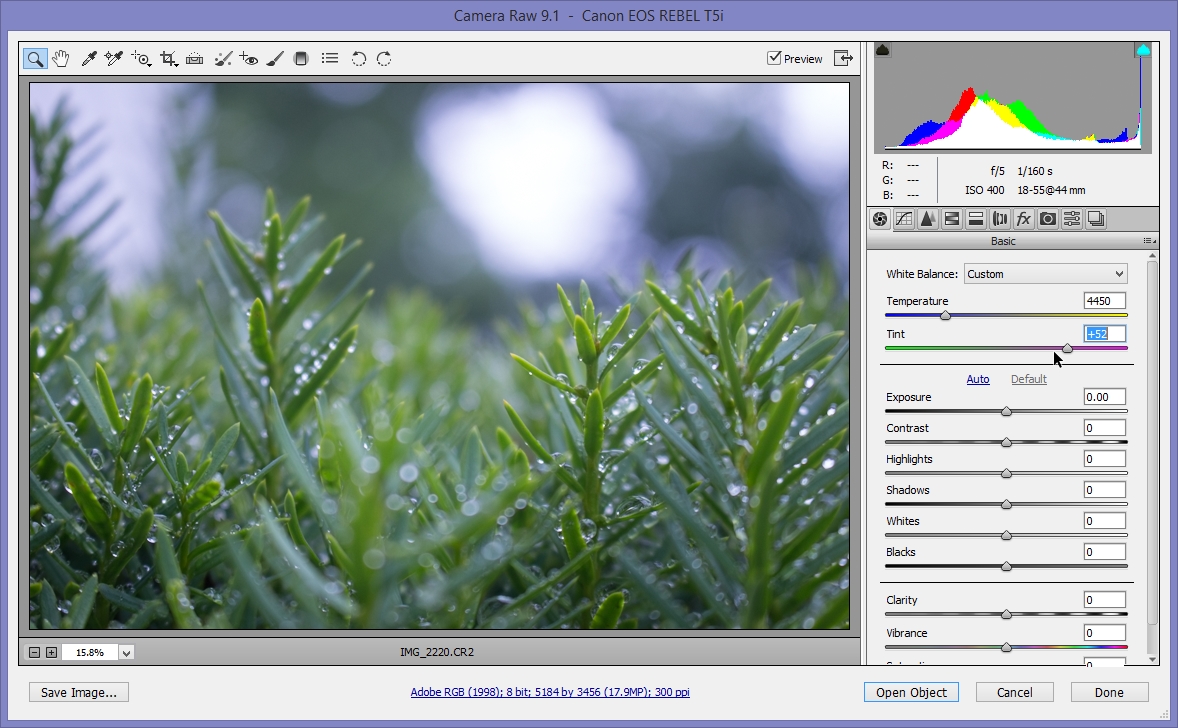 2015-06-28 12_13_49-Camera Raw 9.1  -  Canon EOS REBEL T5i.jpg