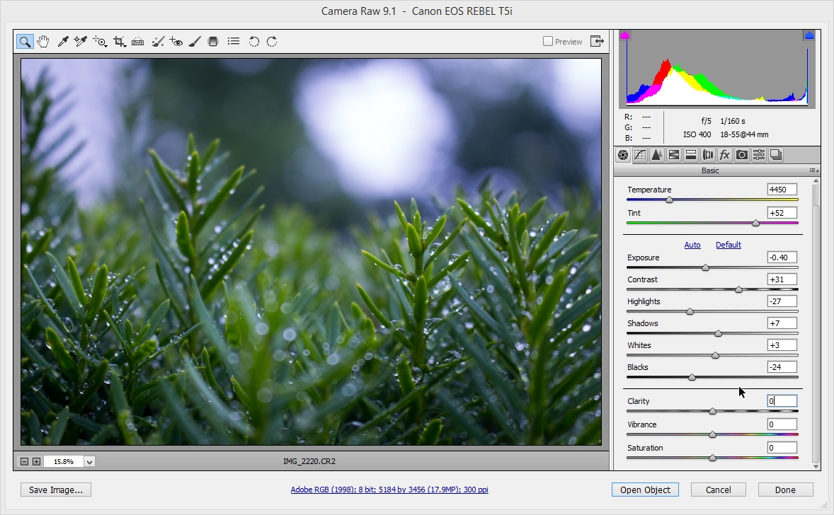 2015-06-28 12_16_57-Camera Raw 9.1  -  Canon EOS REBEL T5i.jpg
