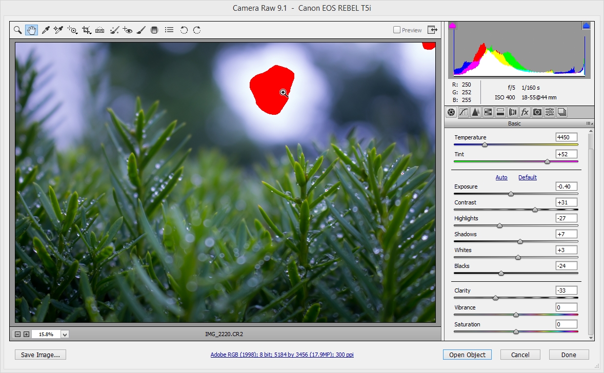 2015-06-28 12_23_46-Camera Raw 9.1  -  Canon EOS REBEL T5i.jpg