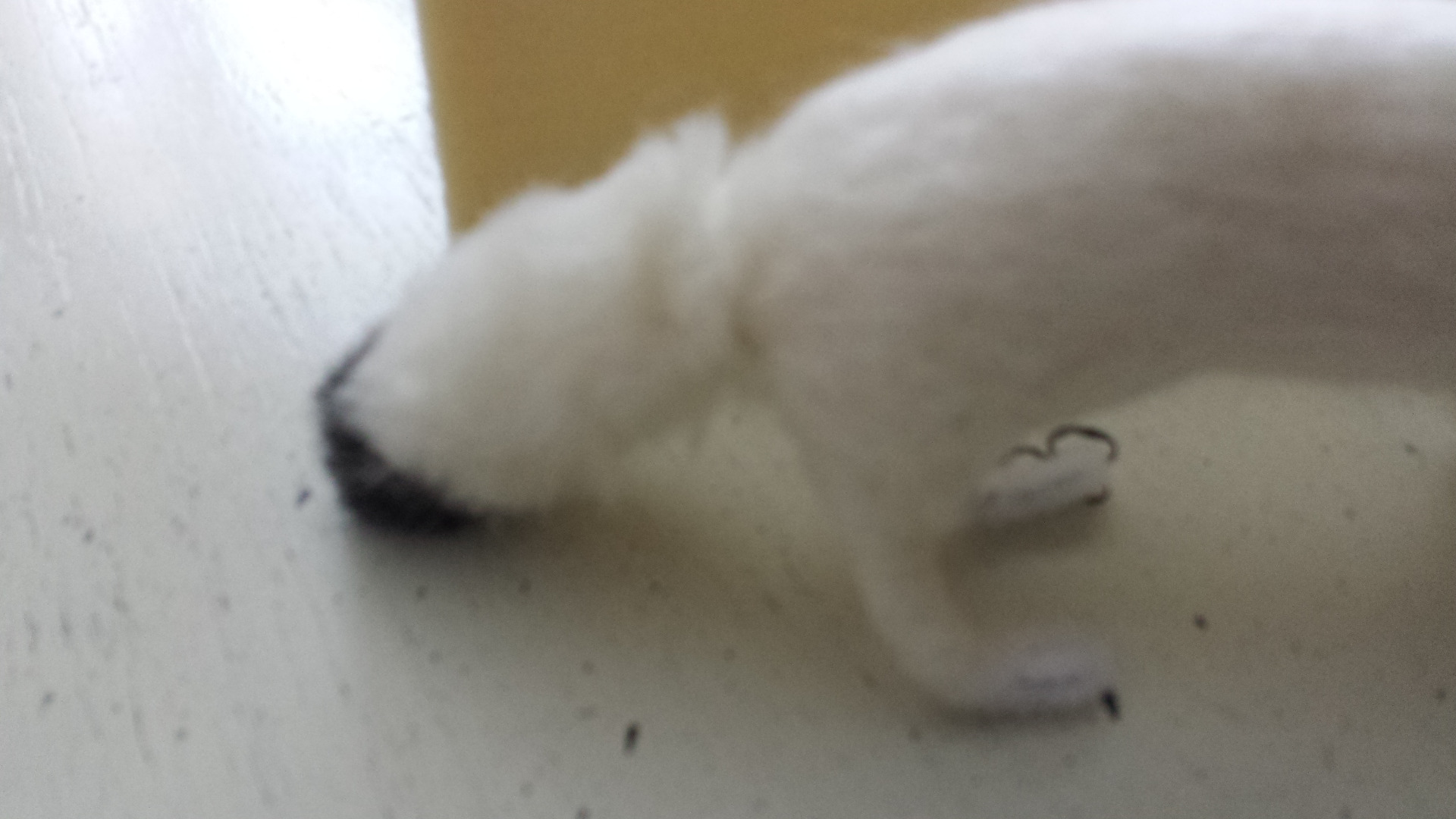 20150125_151100.jpg