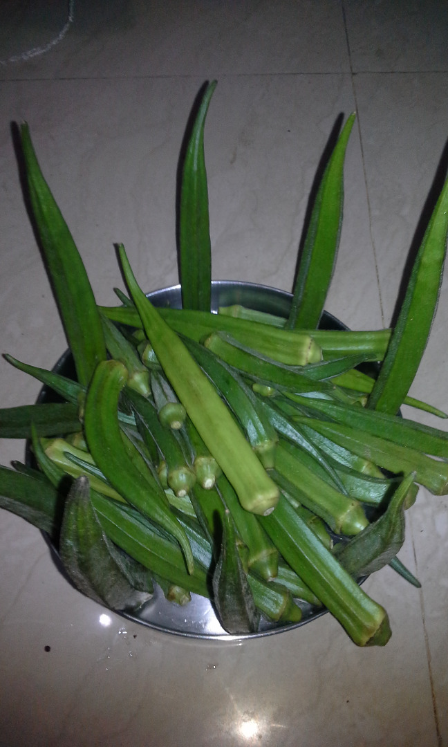 20150717_201953.jpg