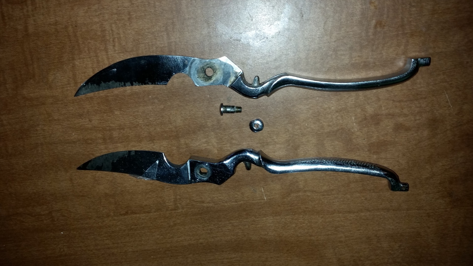 20151006_190431.jpg