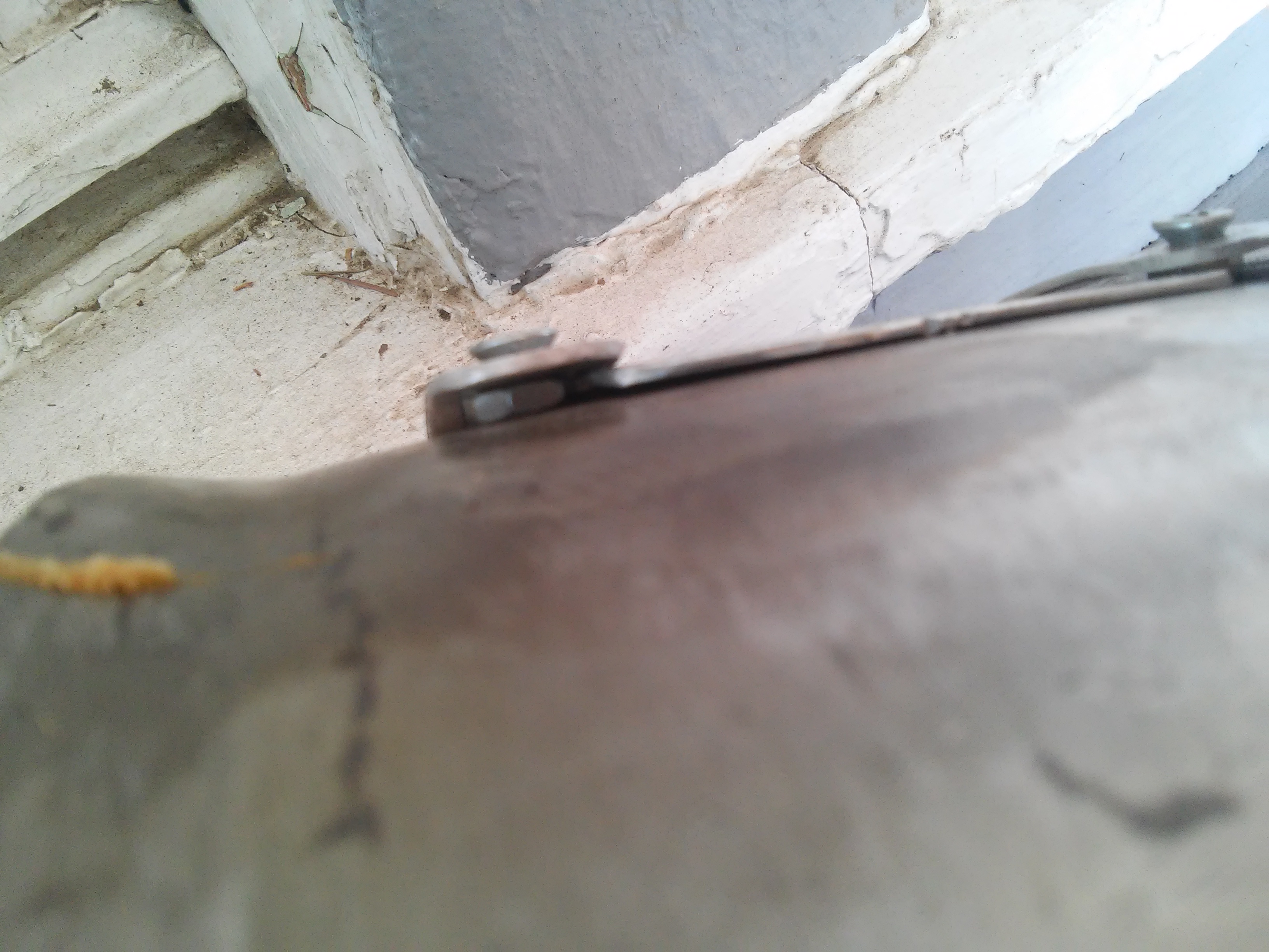 20160904_145326.jpg