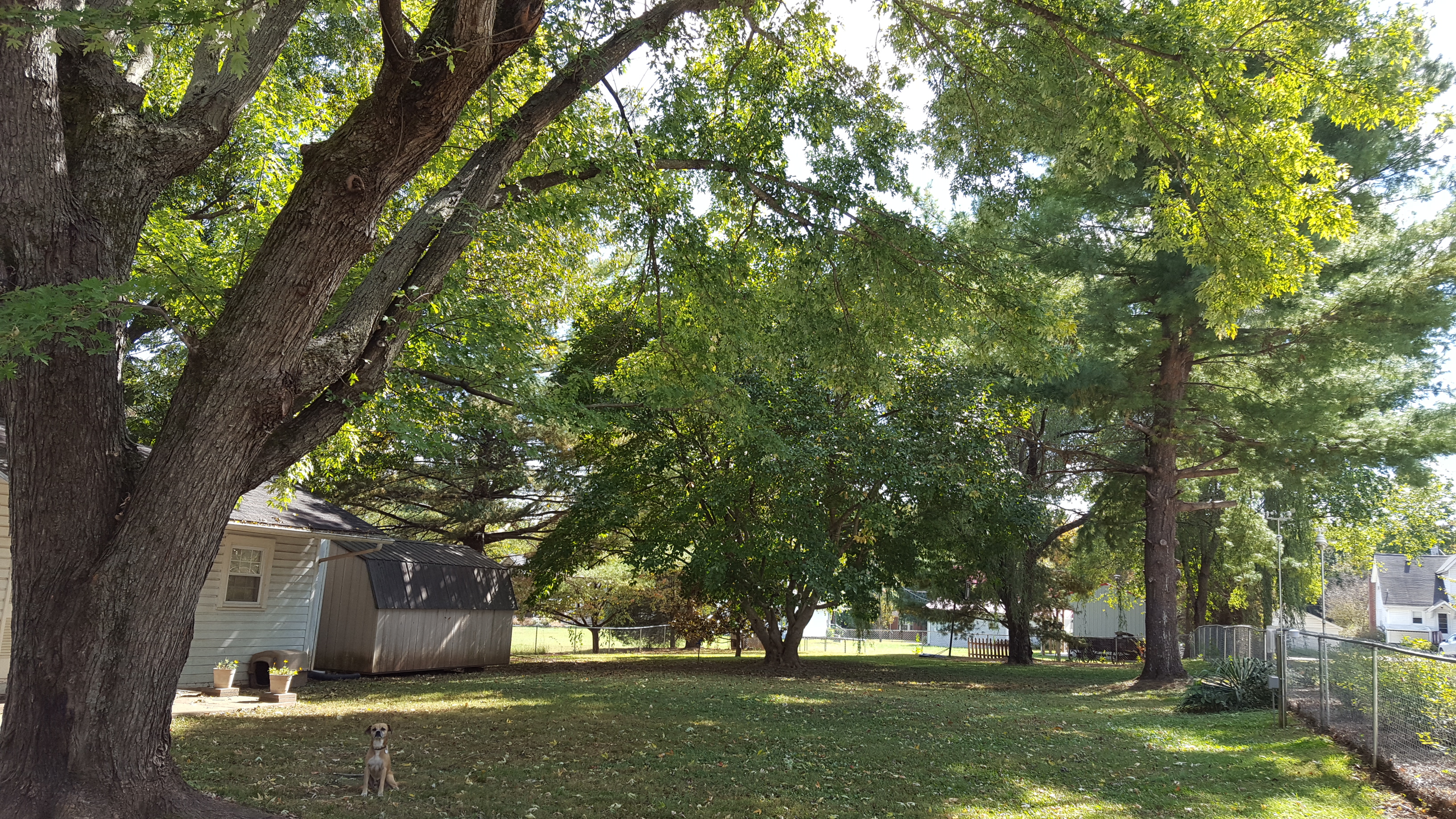 20161018_133446.jpg