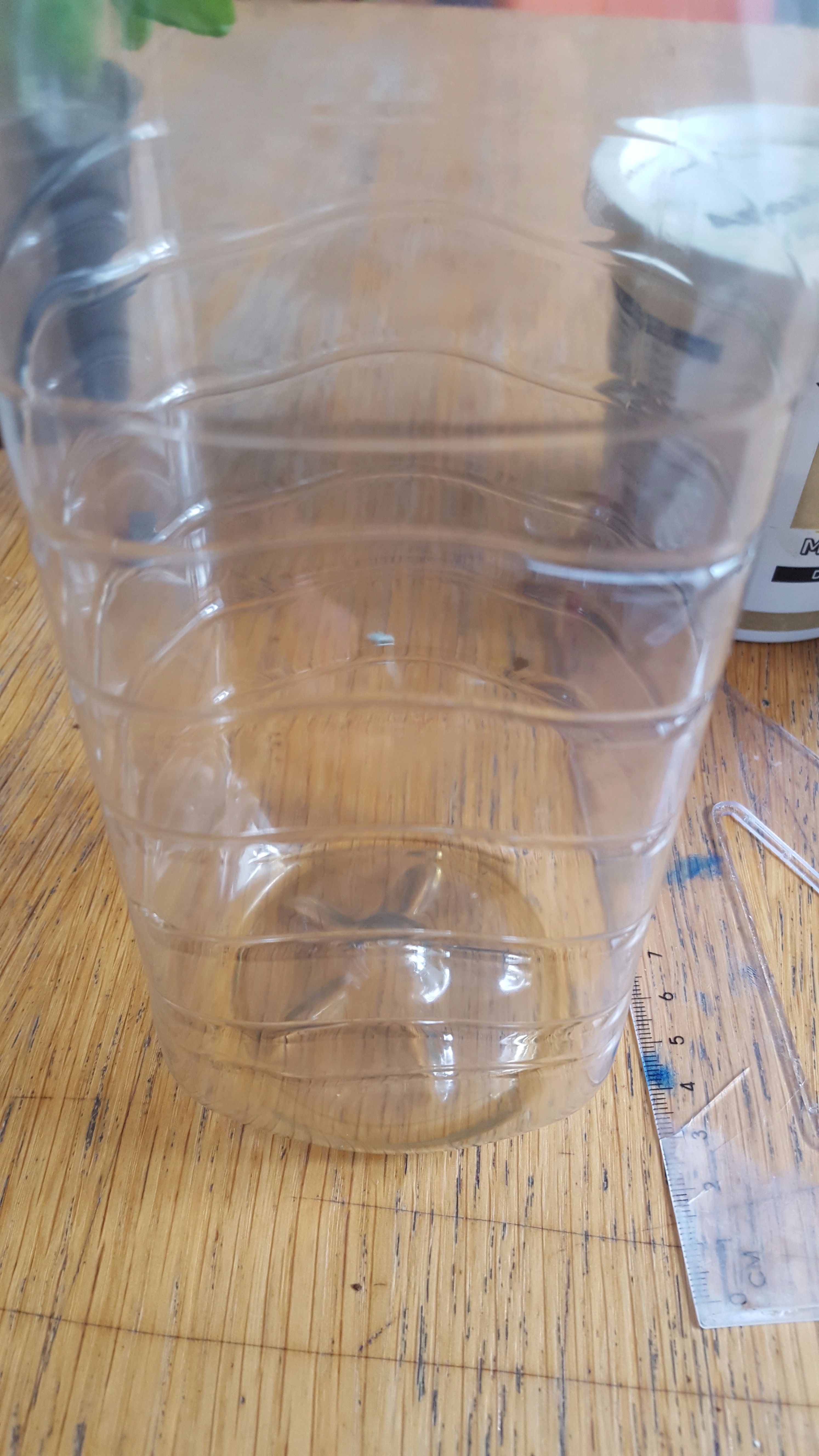 20170507_121059.jpg
