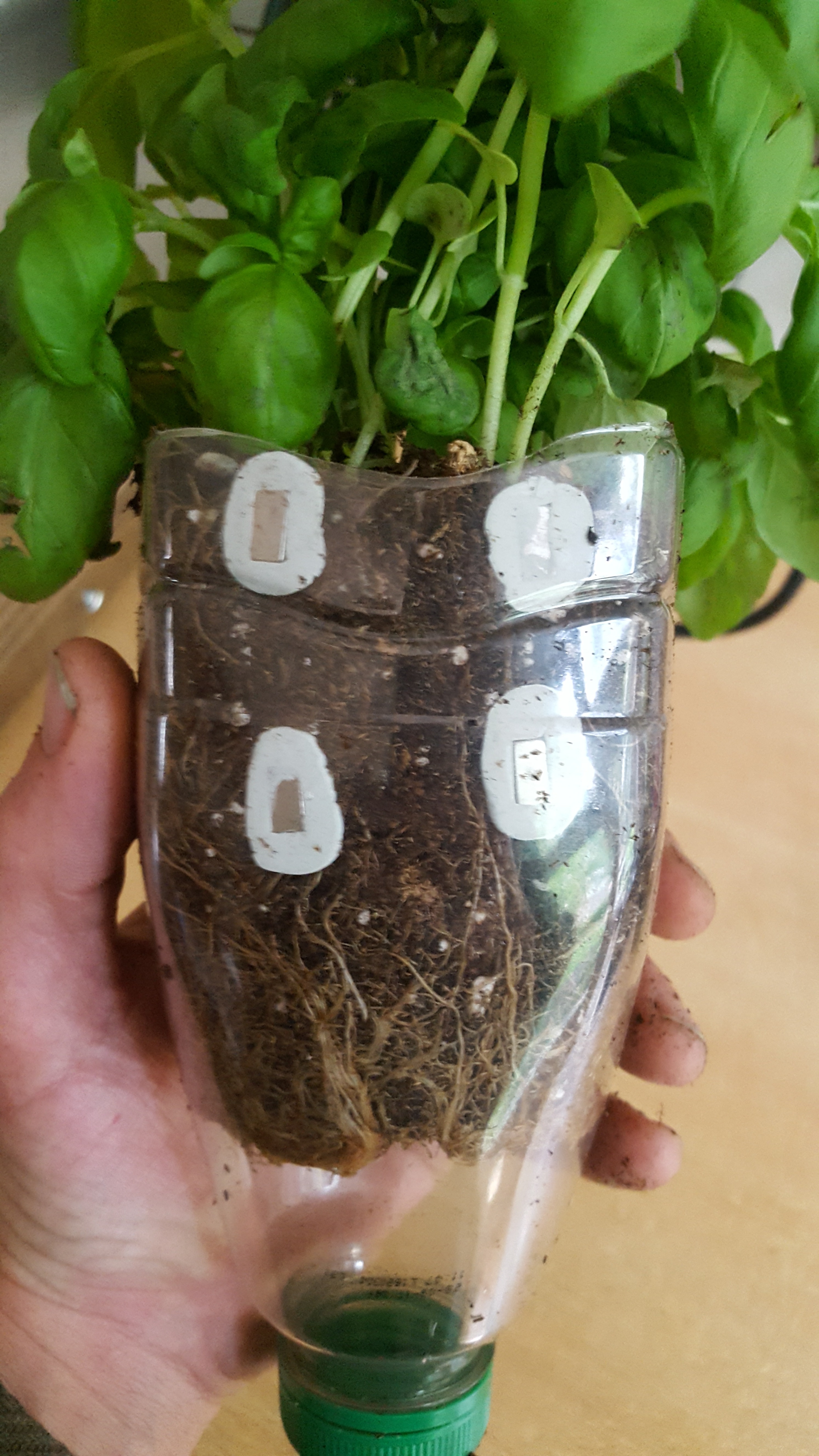 20170509_114718.jpg