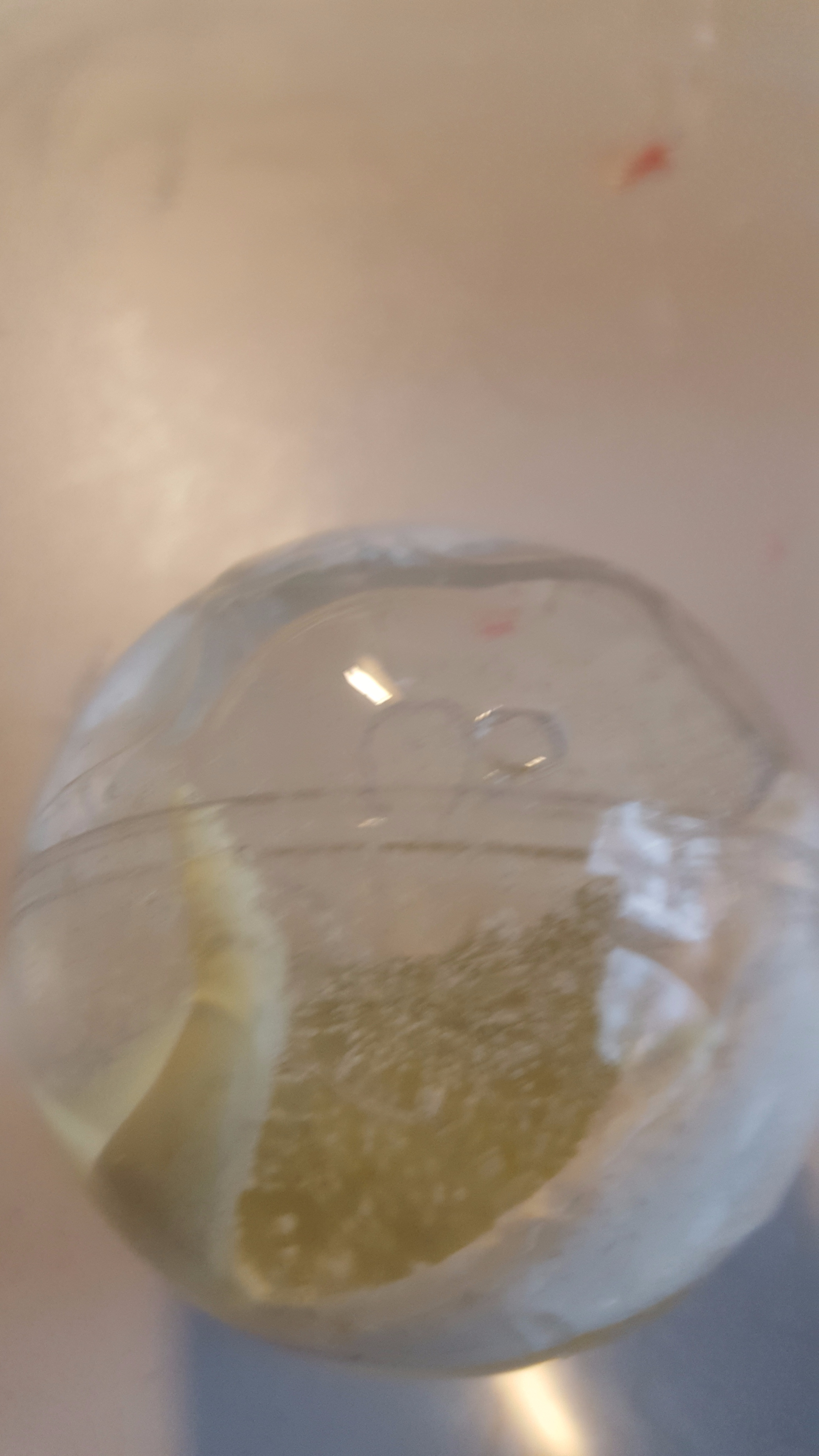 20170509_124720.jpg