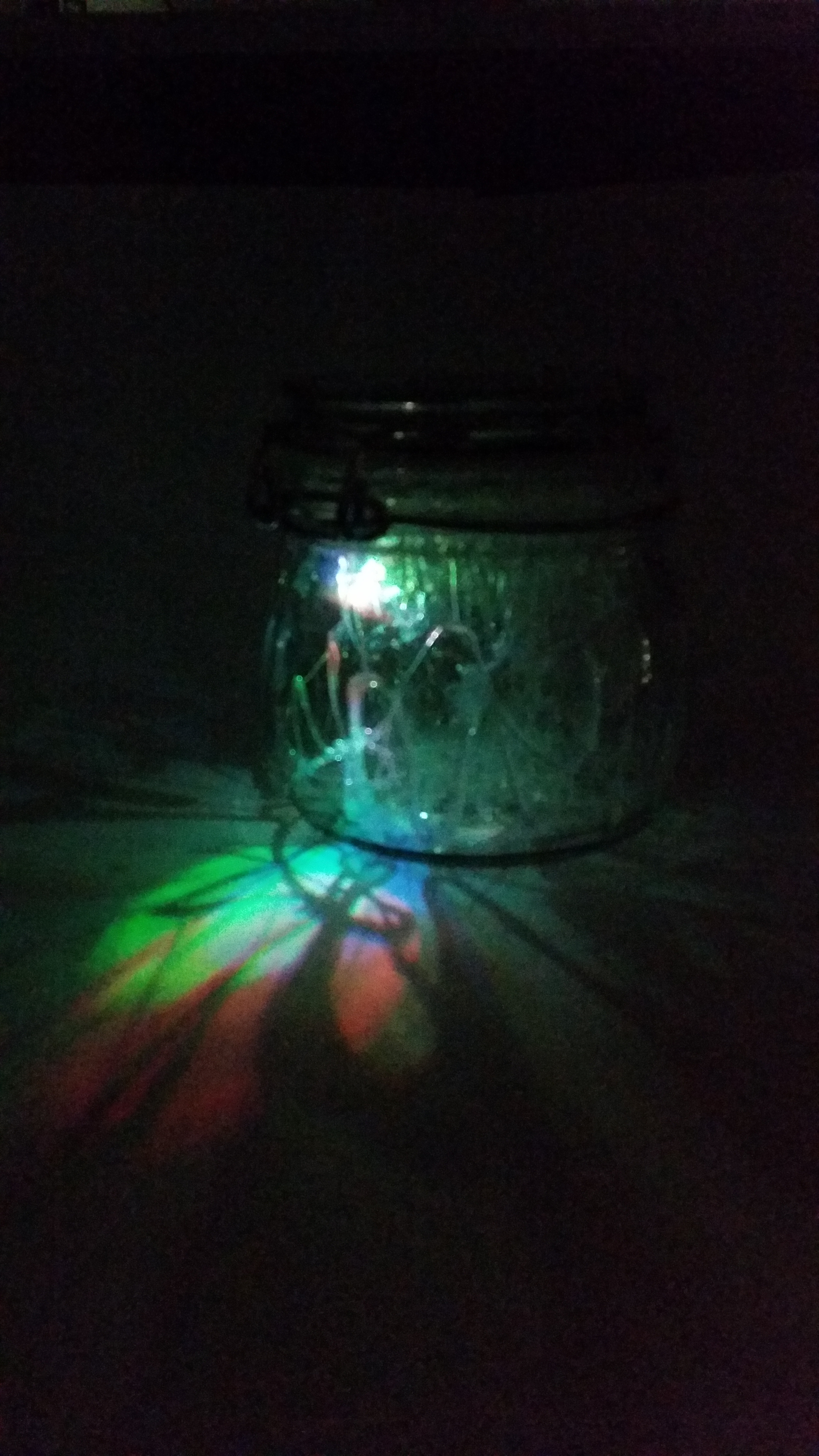 20170517_141232.jpg