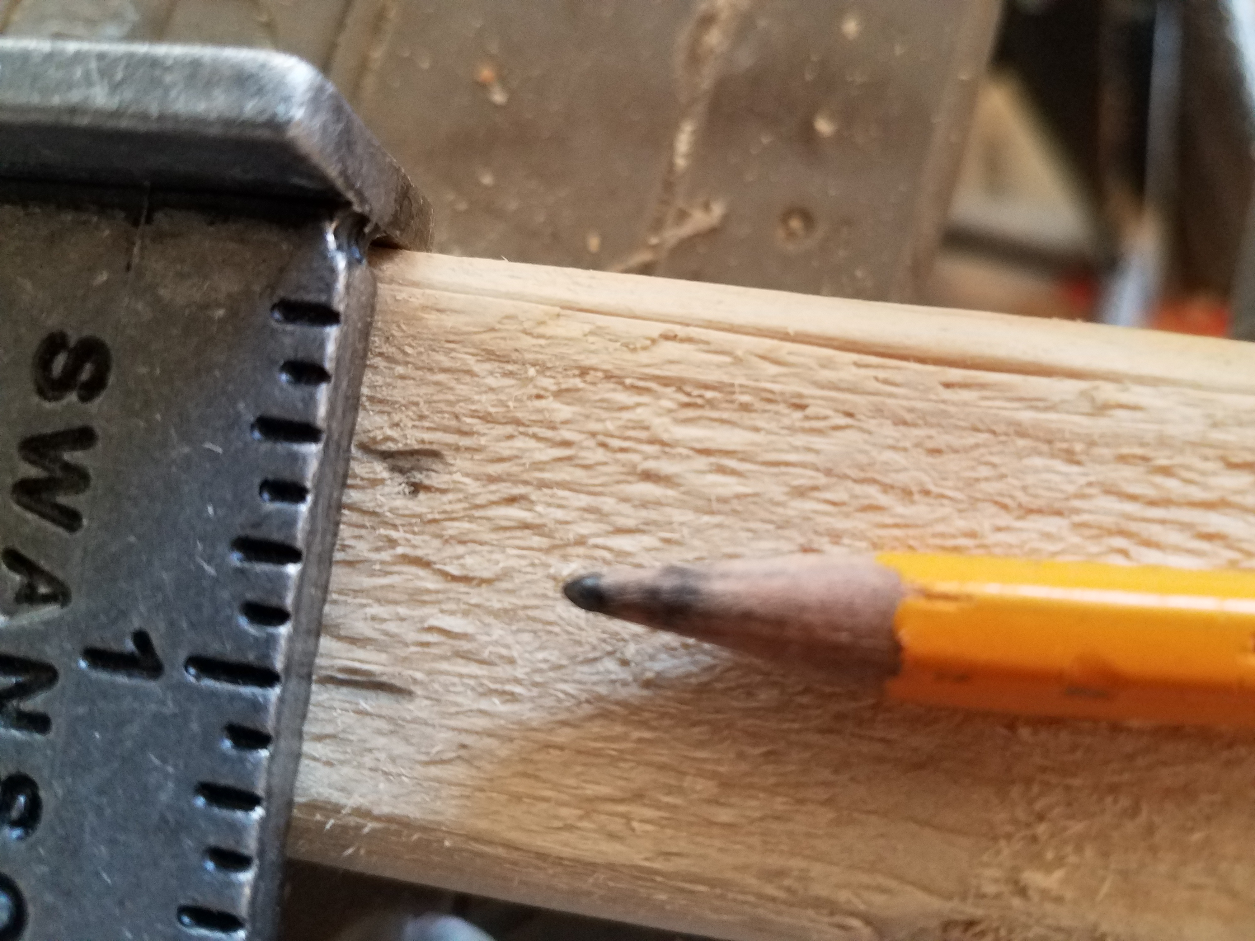20180923_172039.jpg