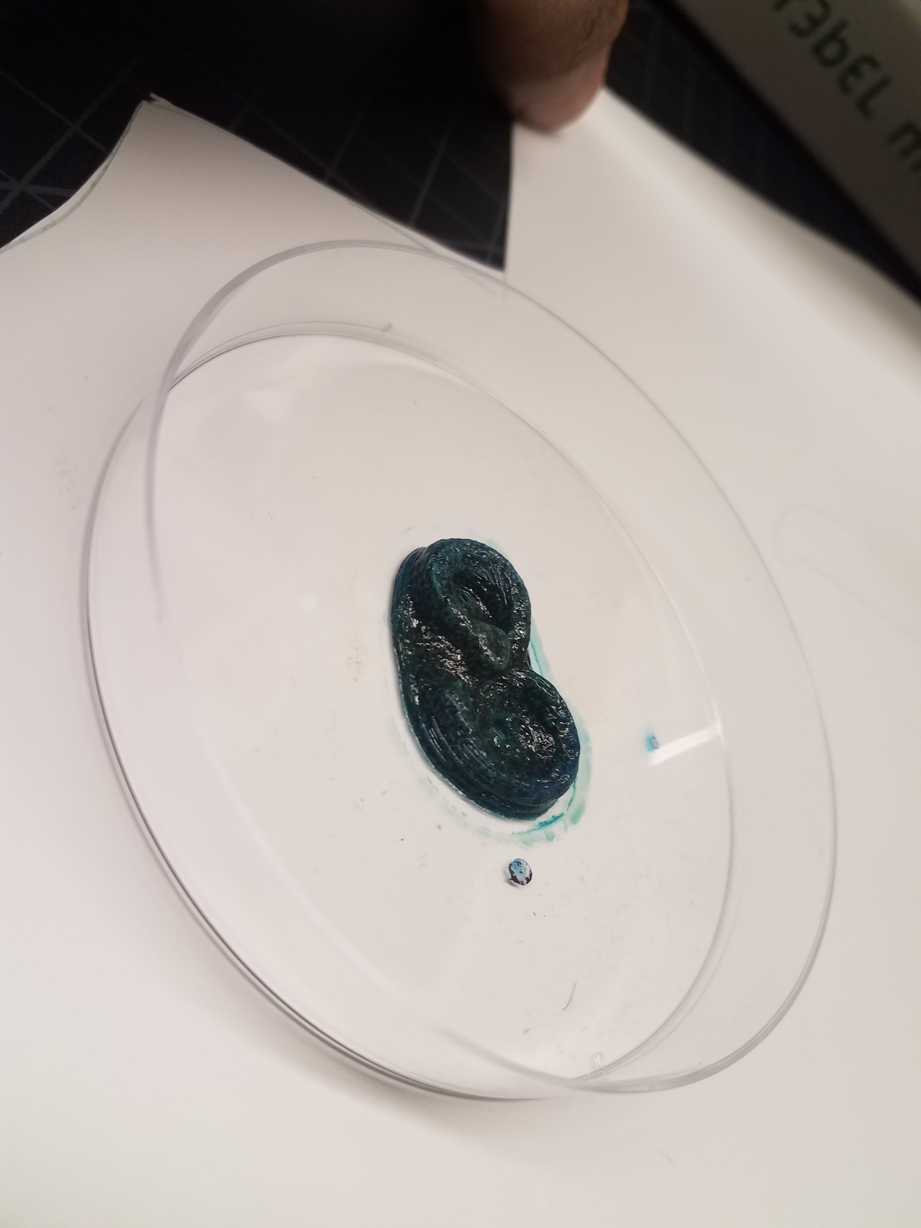 20190306_135242.jpg