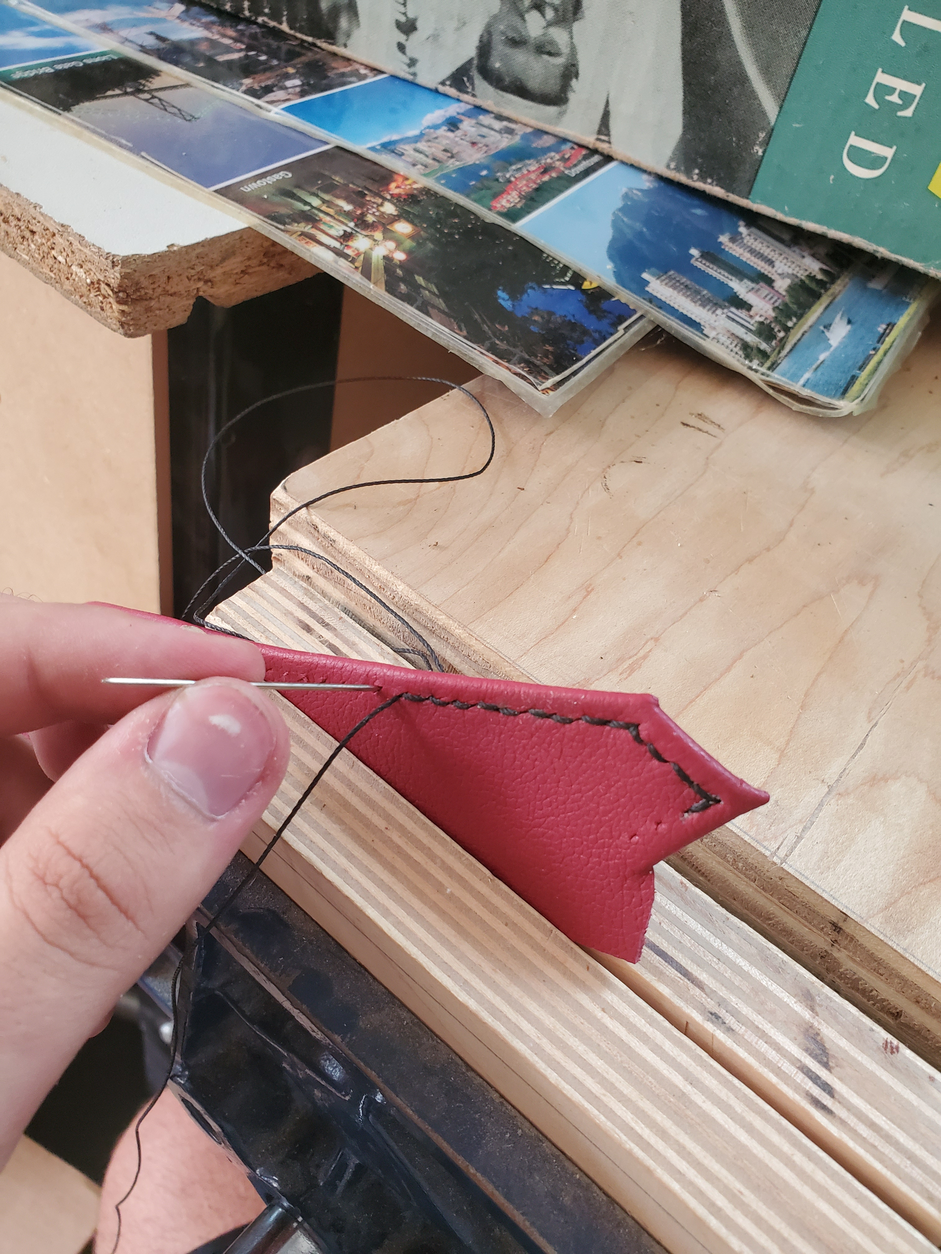 20190605_133926.jpg