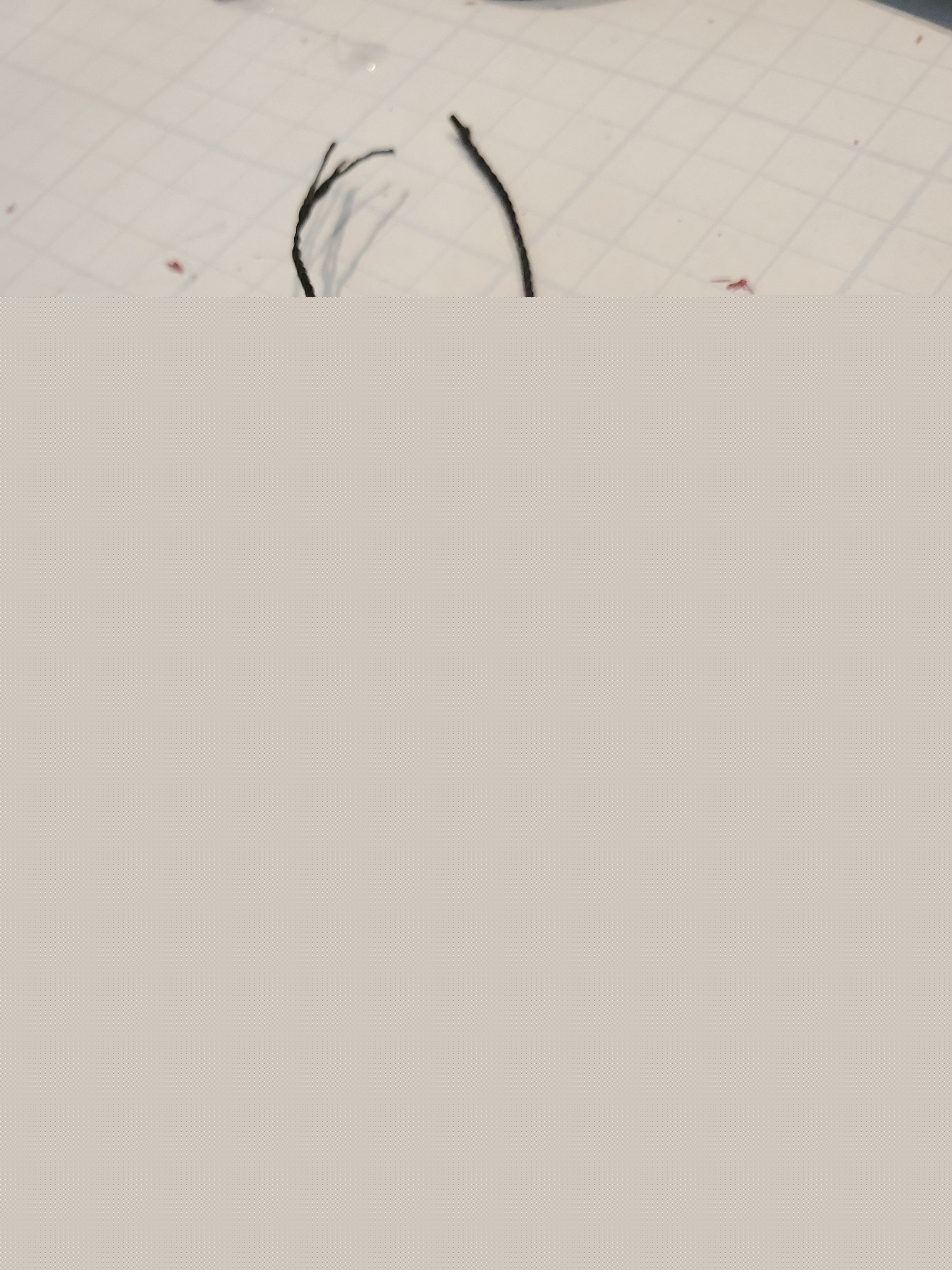 20190605_140824.jpg