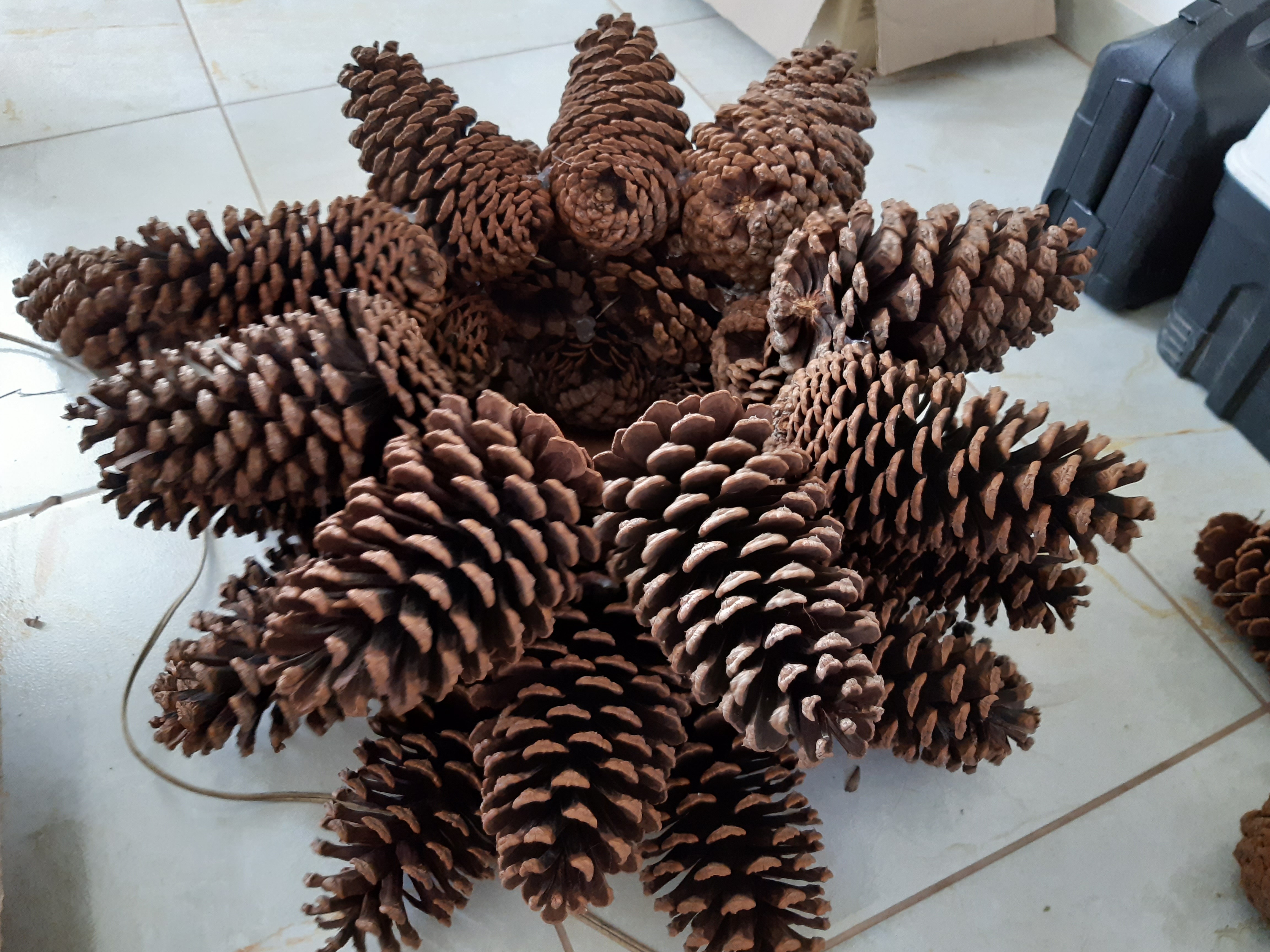 20191214_163241.jpg