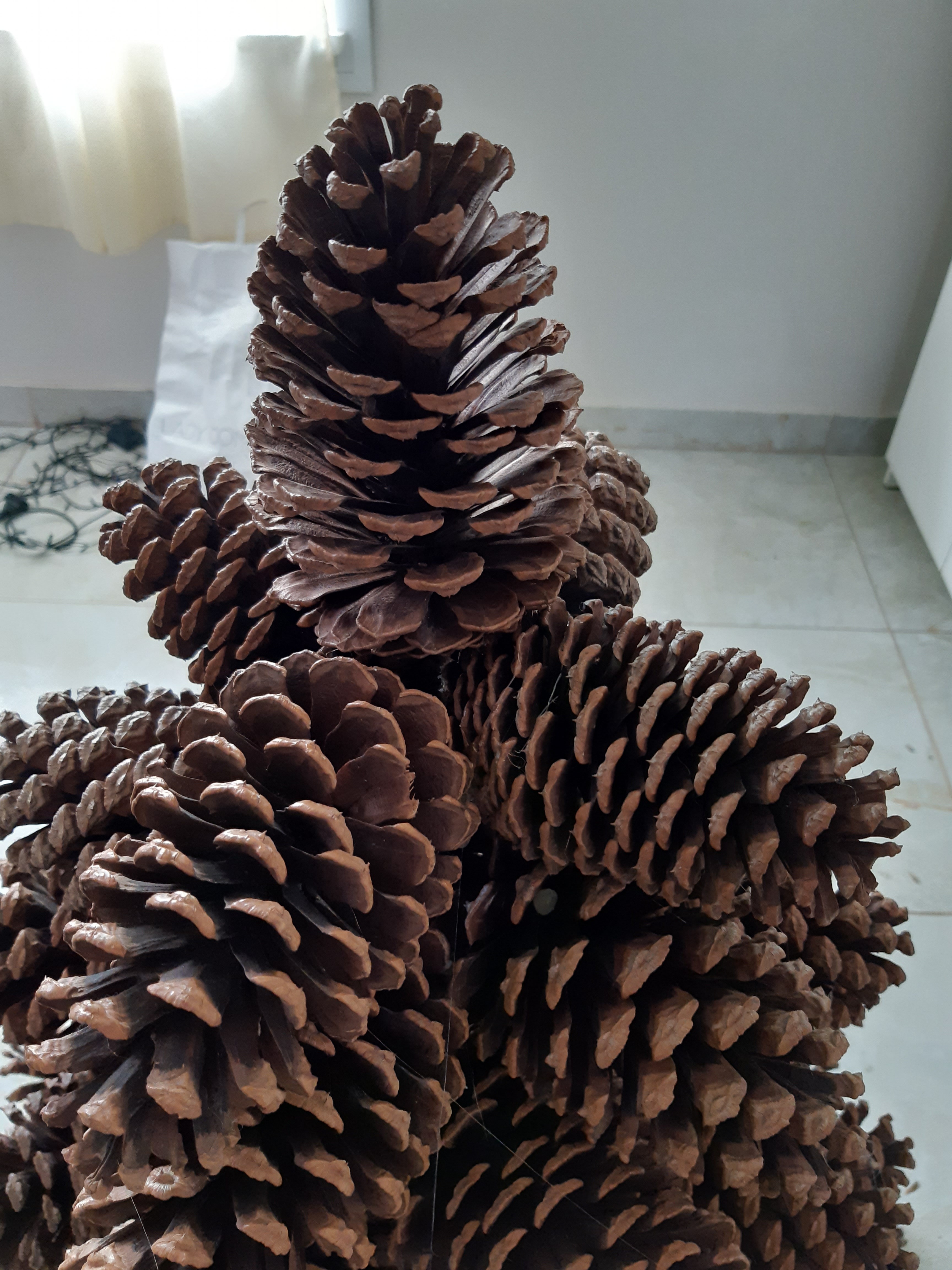 20191214_170218.jpg