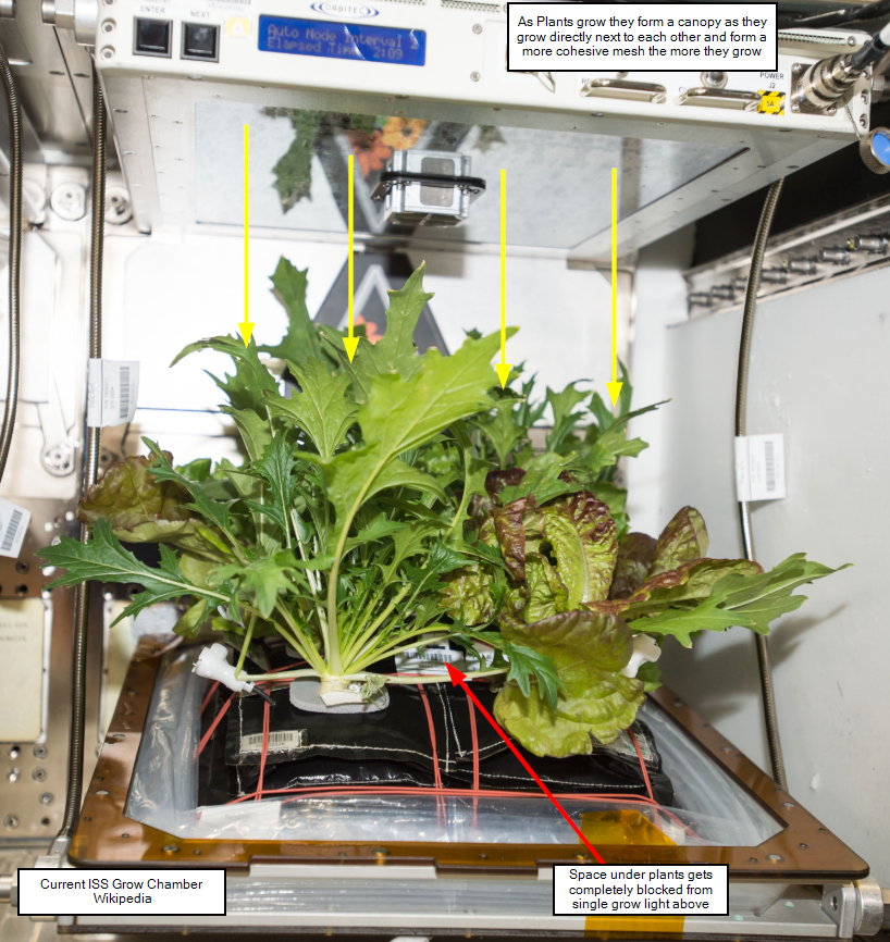 2020-01-25 12_53_27-Plants in space - Wikipedia.png