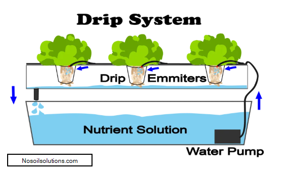 2020-02-01 13_30_02-6 Different Types Of Hydroponic Systems - NoSoilSolutions.png