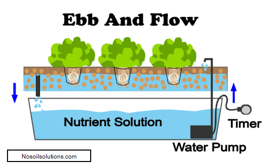 2020-02-01 13_30_28-6 Different Types Of Hydroponic Systems - NoSoilSolutions.png