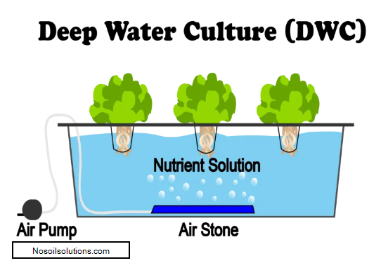 2020-02-01 13_30_49-6 Different Types Of Hydroponic Systems - NoSoilSolutions.png