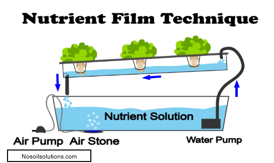 2020-02-01 13_31_17-6 Different Types Of Hydroponic Systems - NoSoilSolutions.png