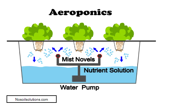 2020-02-01 13_31_34-6 Different Types Of Hydroponic Systems - NoSoilSolutions.png