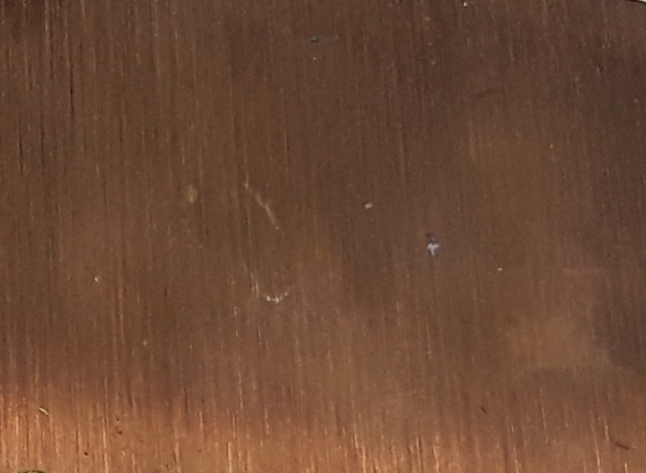 20200713_081119.jpg