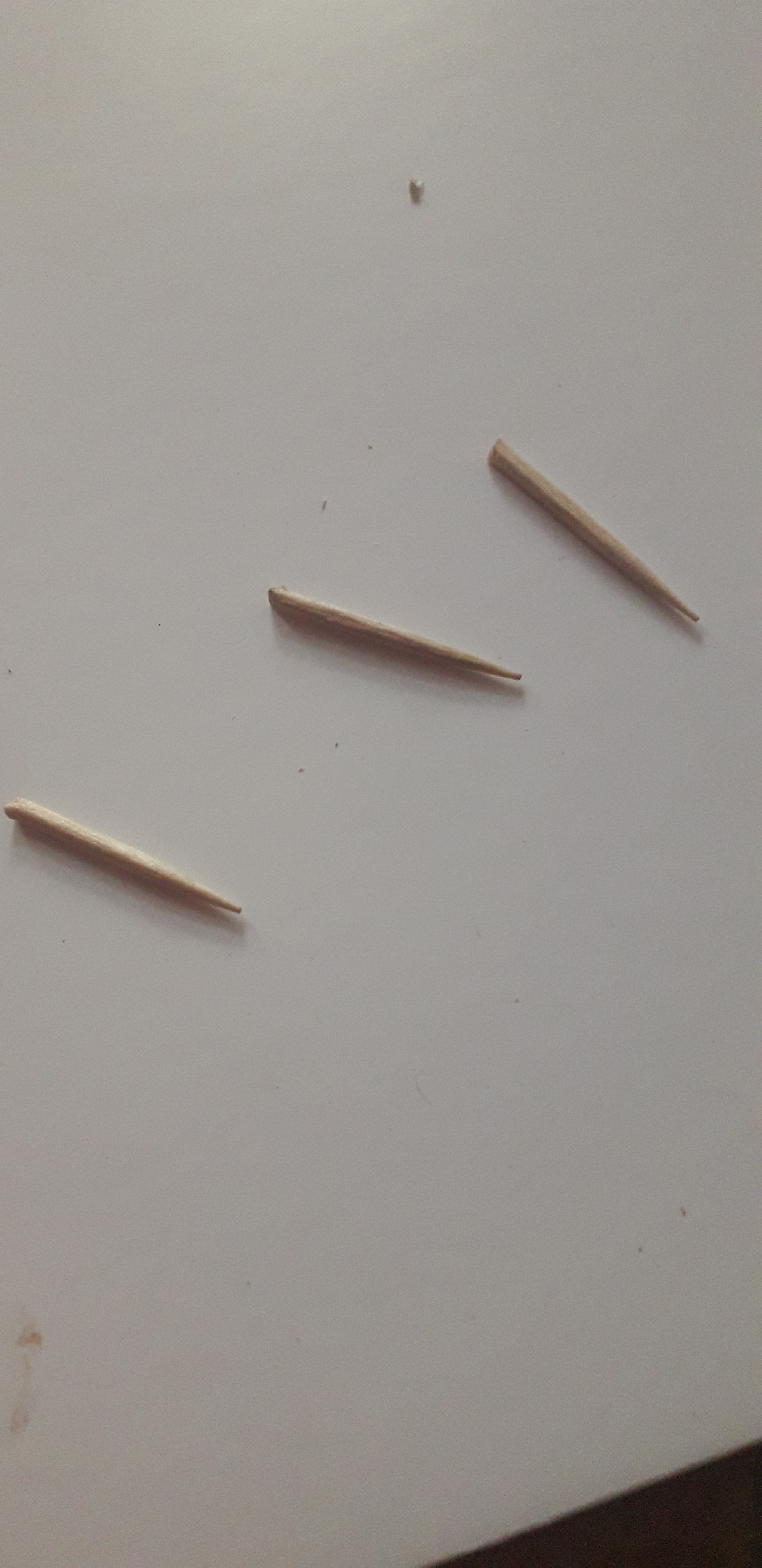 20200720_205115.jpg