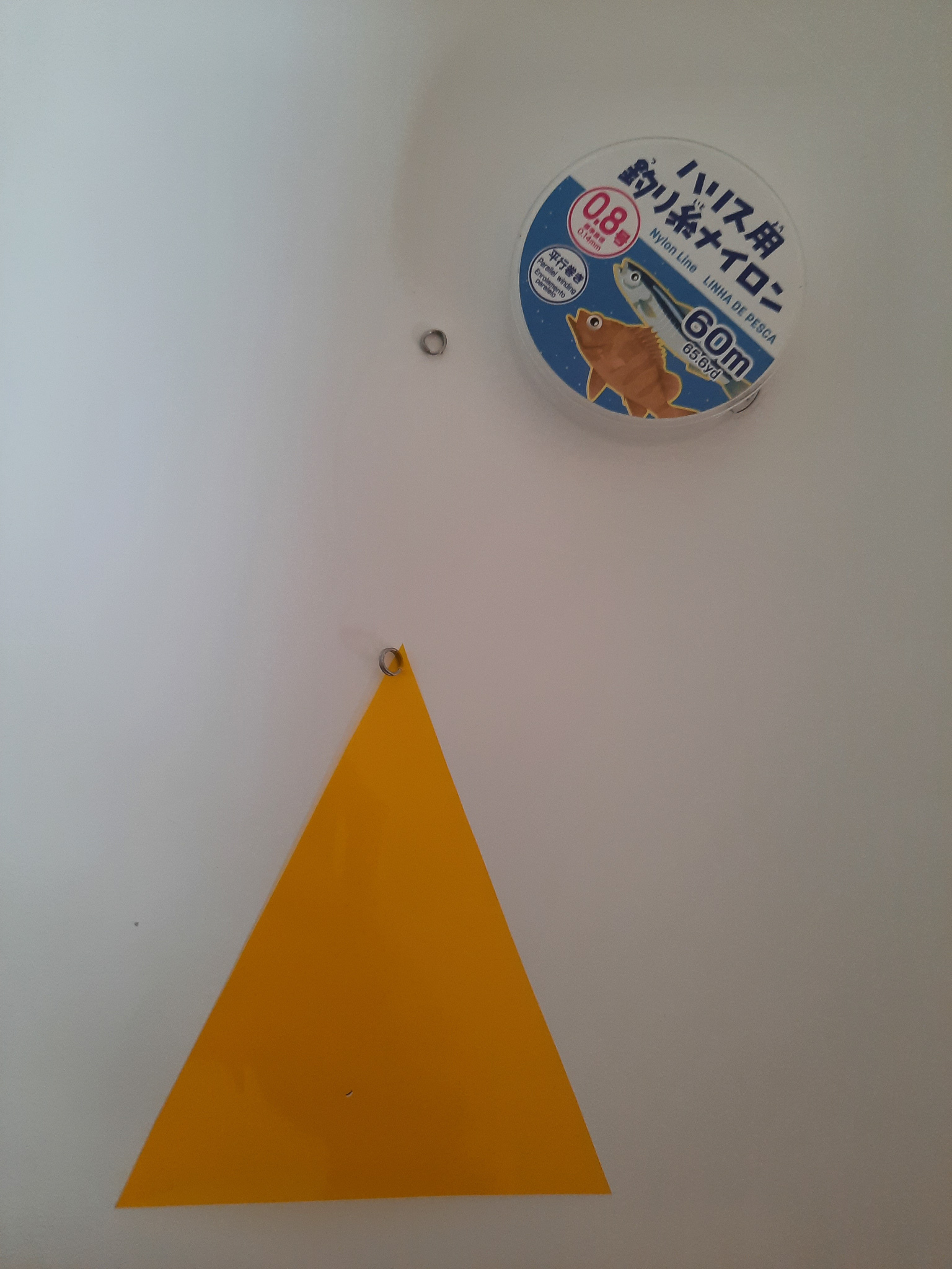 20210308_141355.jpg