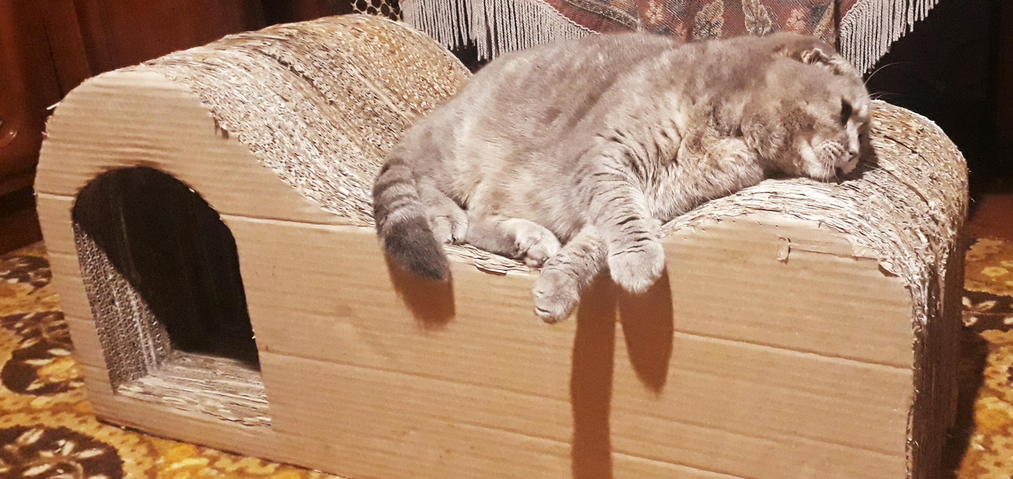 20210916_124054.jpg