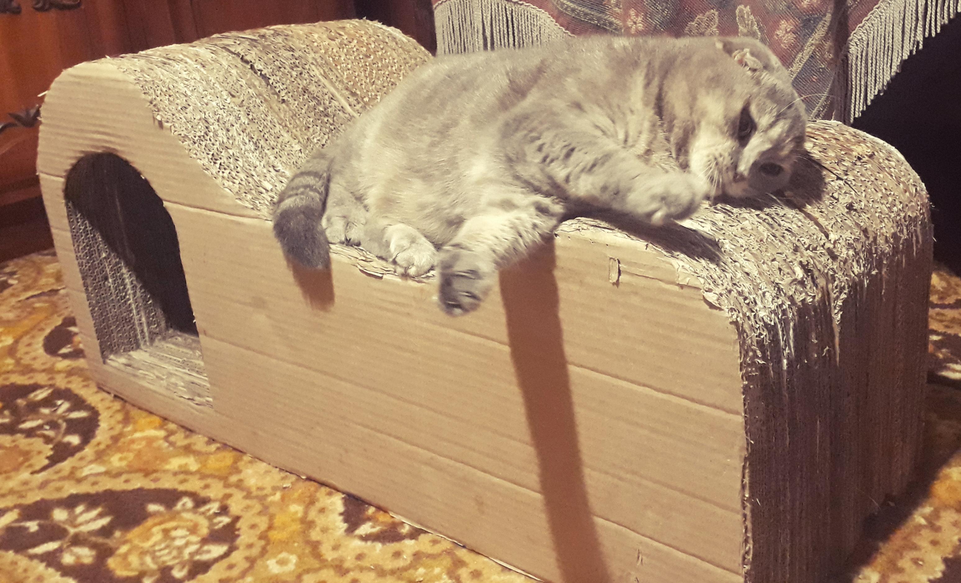 20210916_124145.jpg