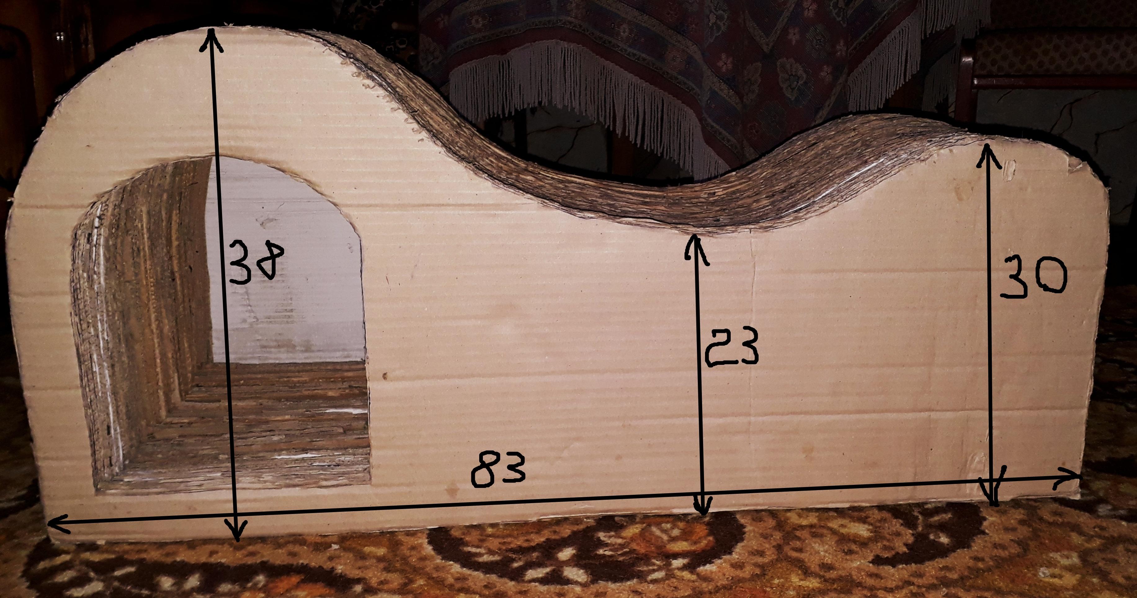 20210916_1250401.jpg