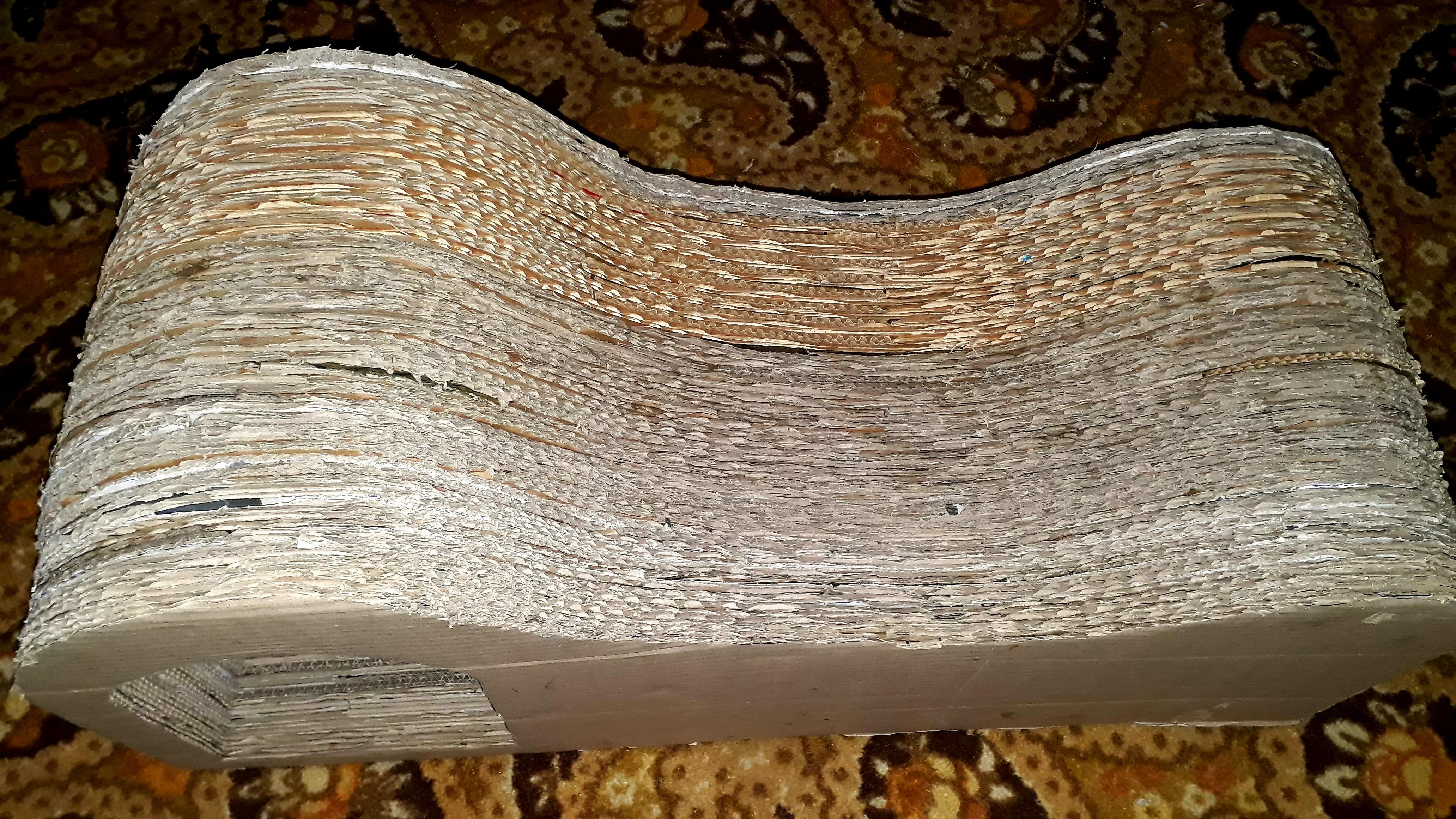 20210916_125105.jpg