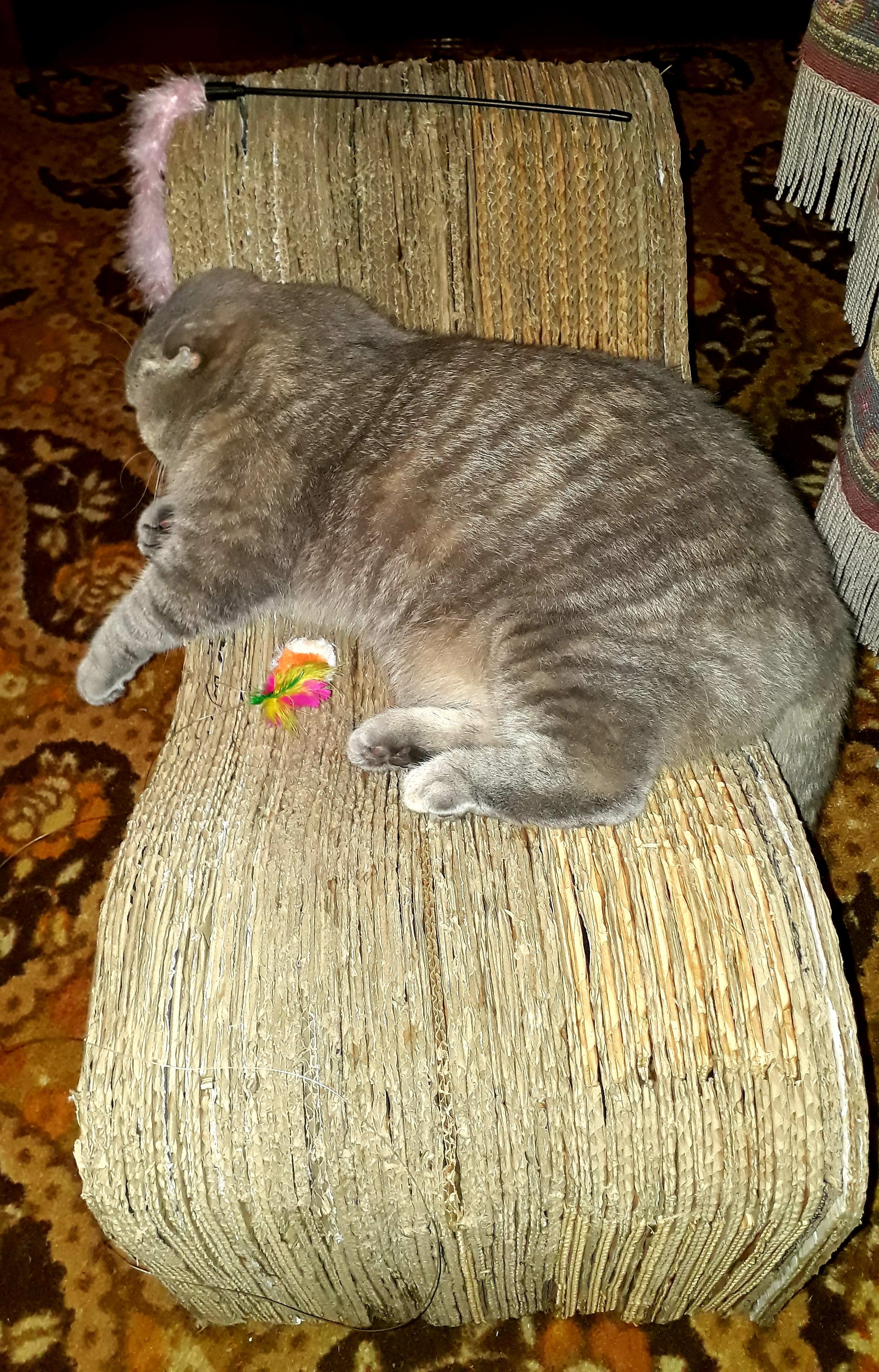 20210916_125441.jpg